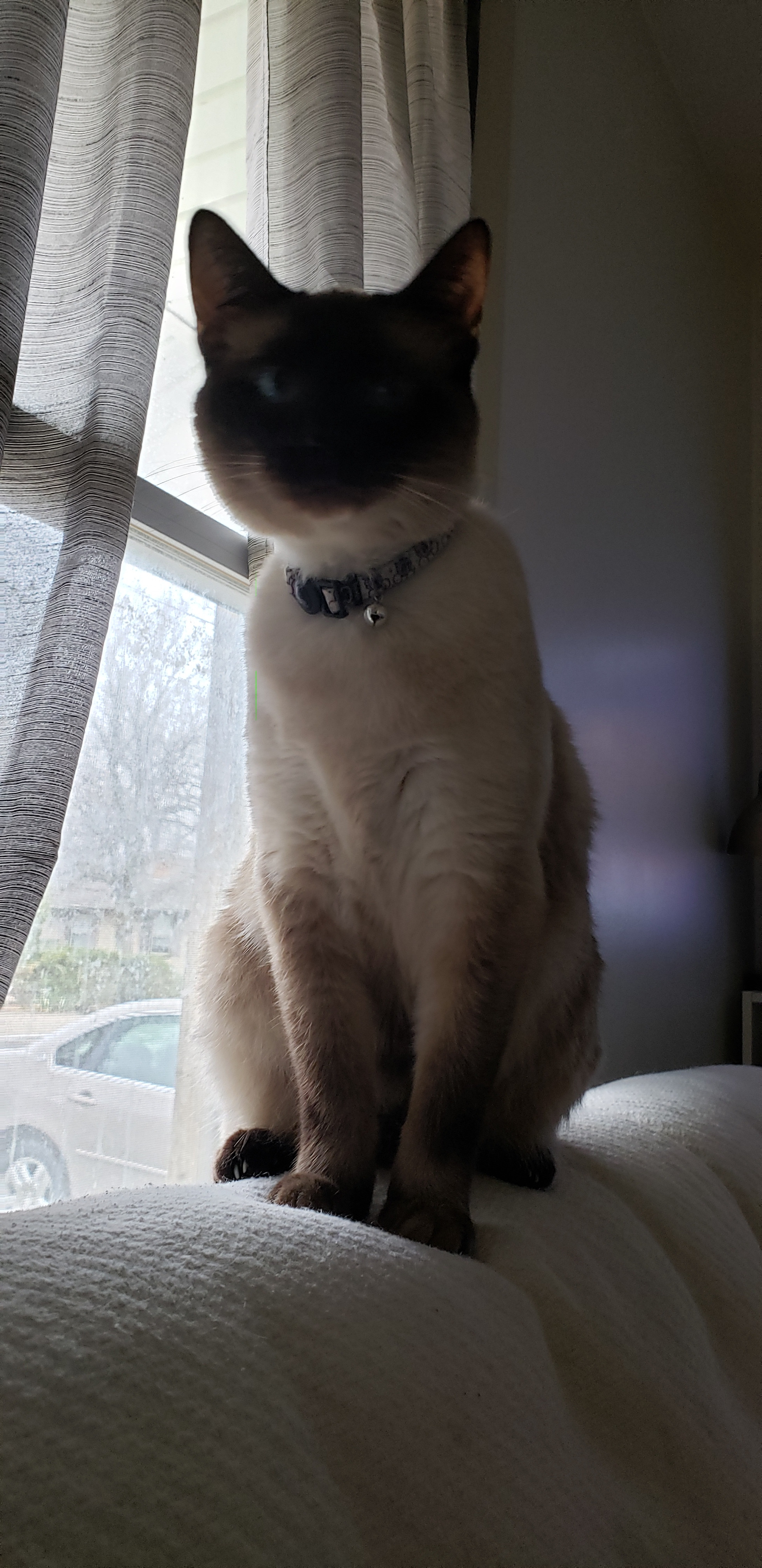 20220319_150634.jpg