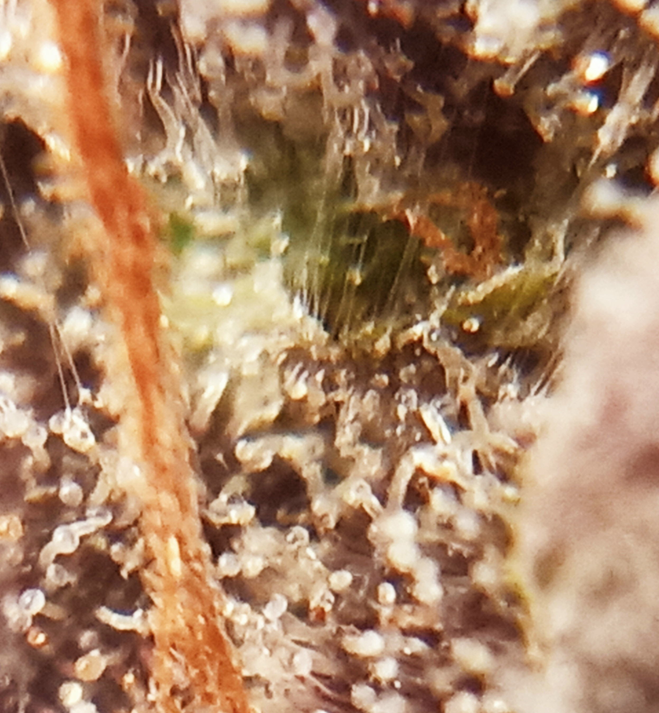 20220322_212722.jpg