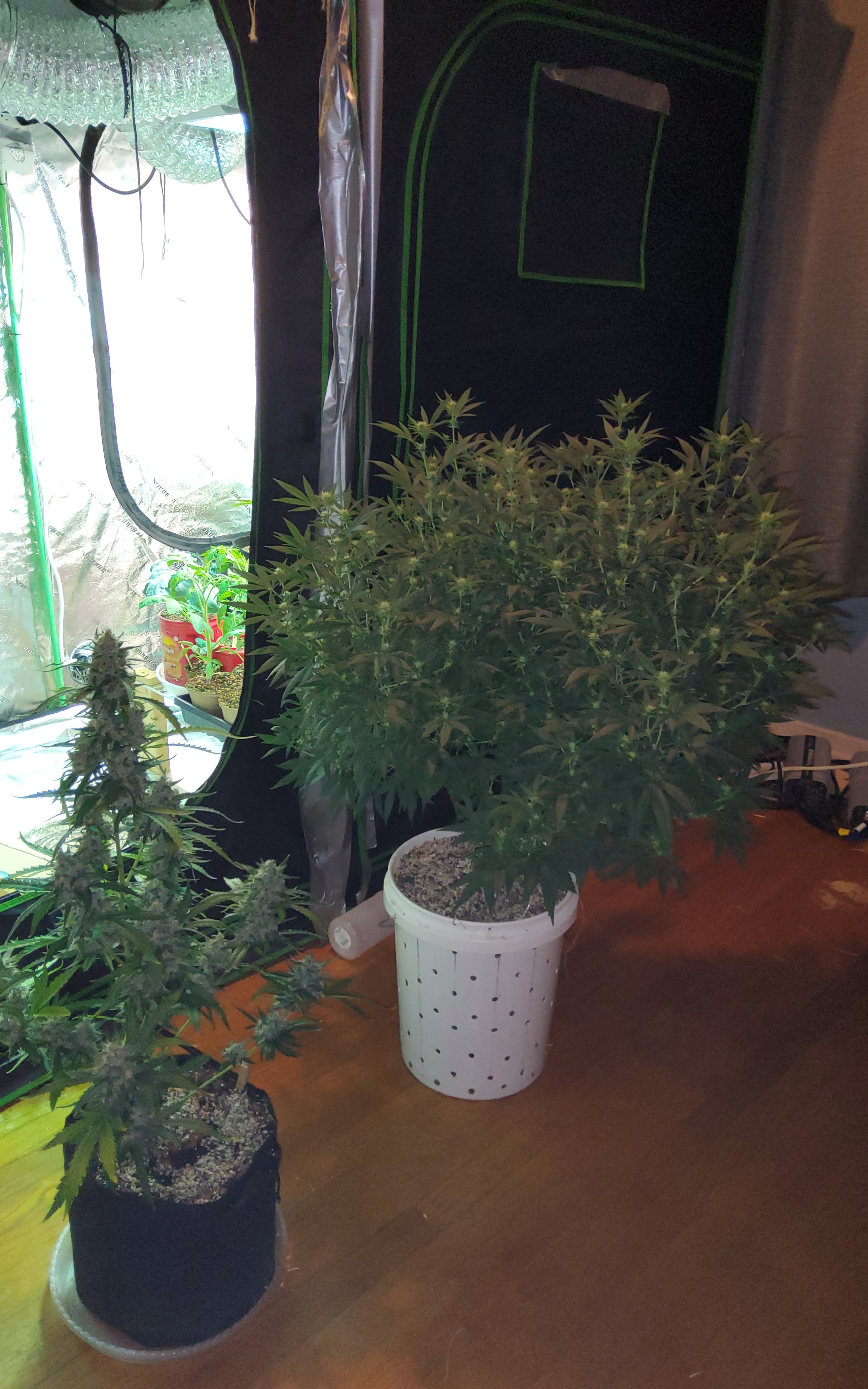20220404_185008.jpg