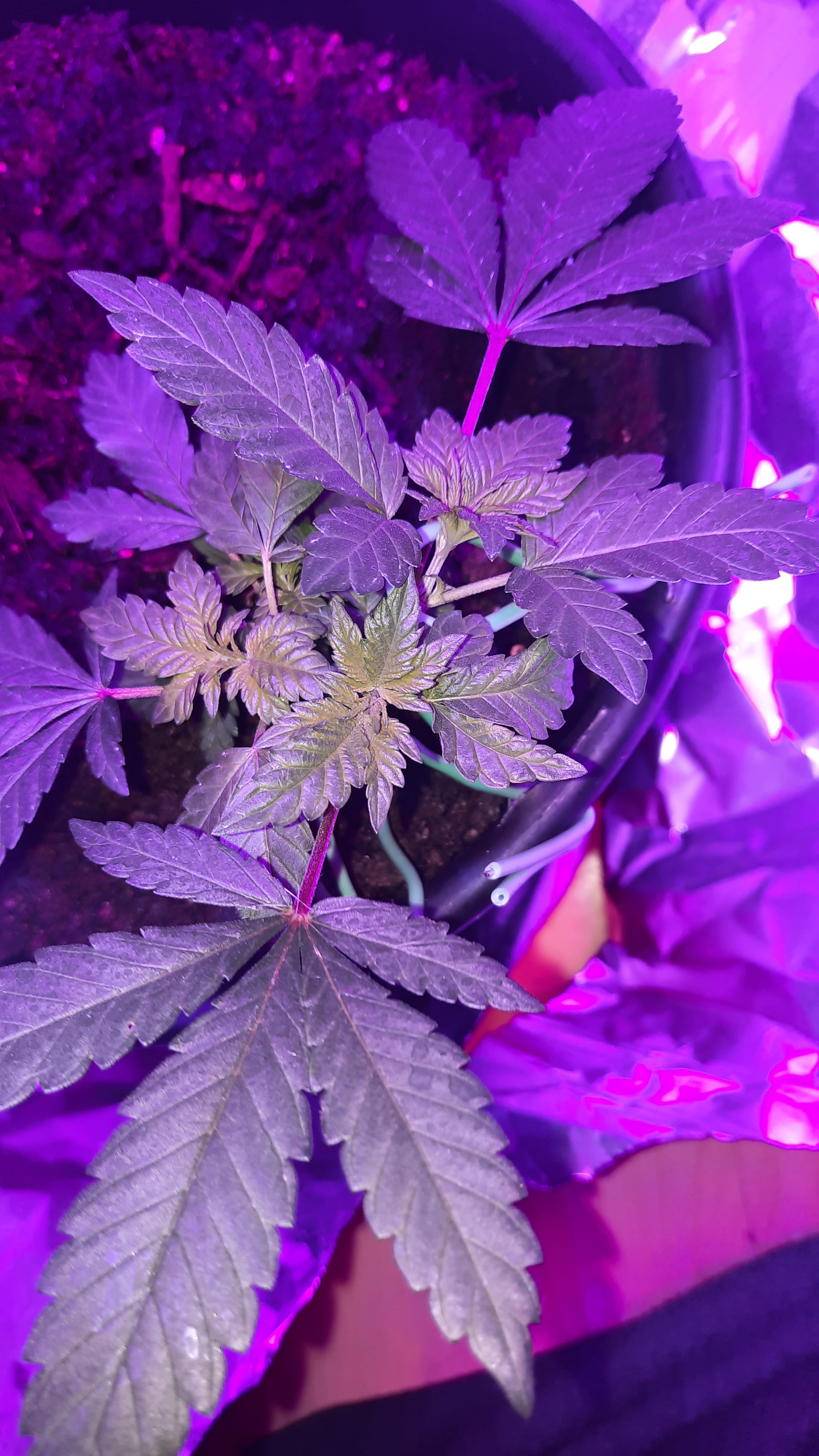 20220414_182737.jpg