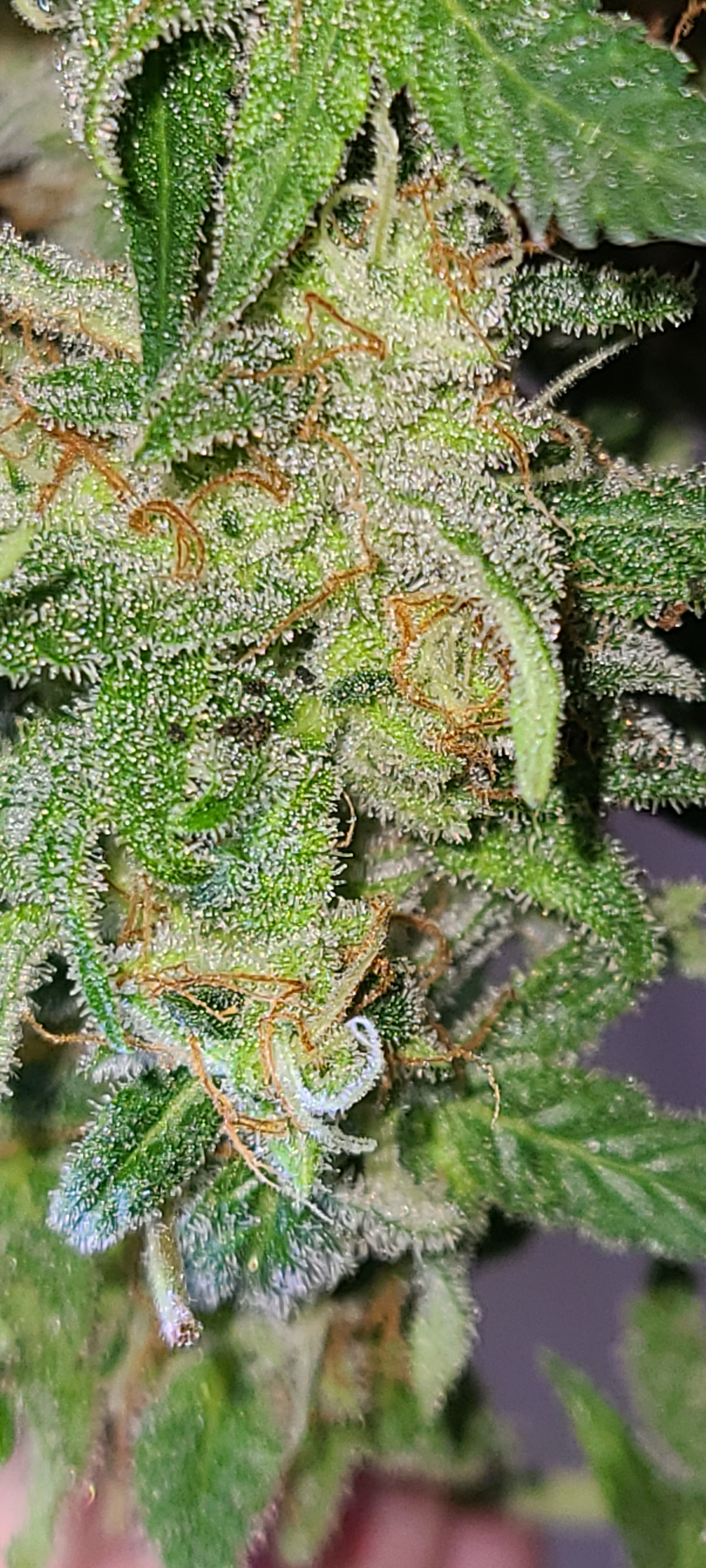 20220611_225614.jpg