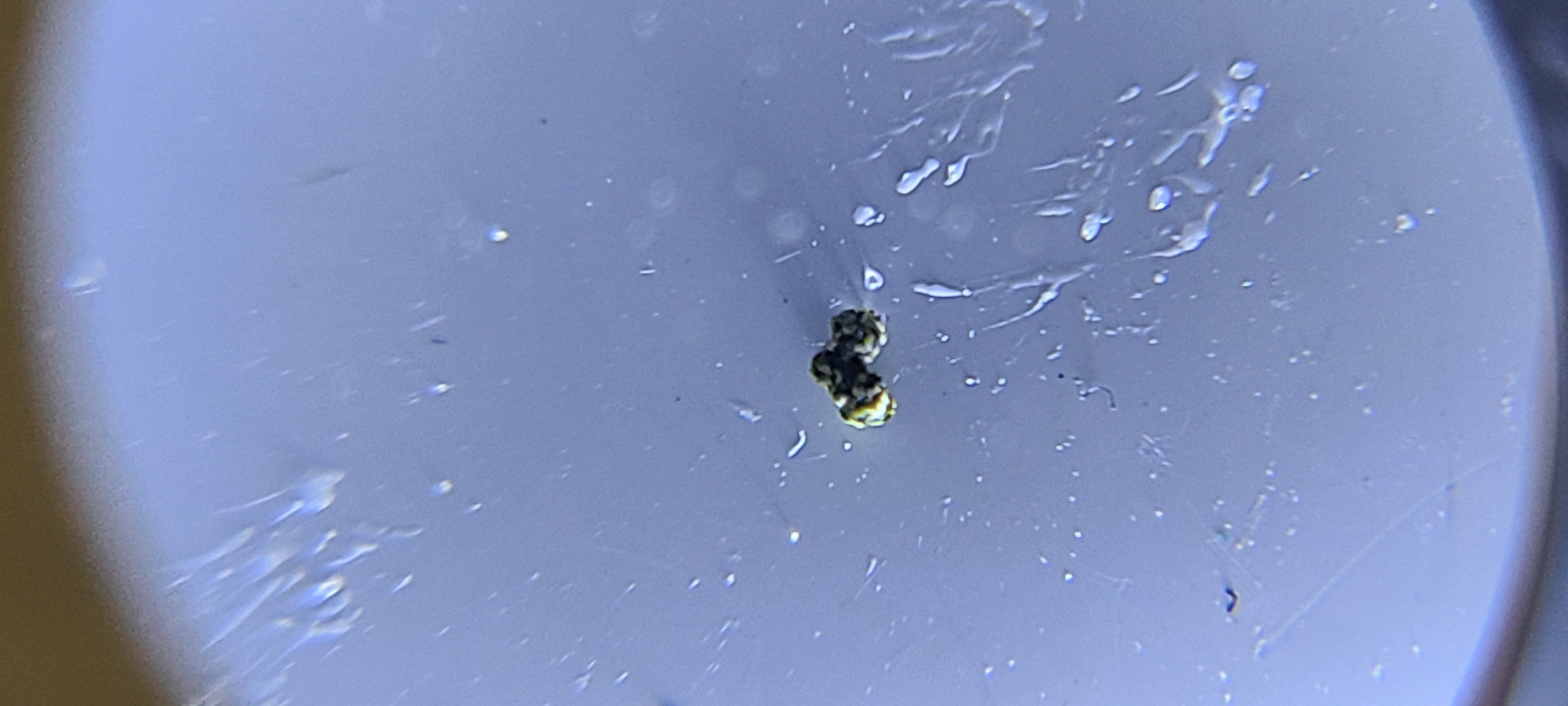20220611_225910.jpg