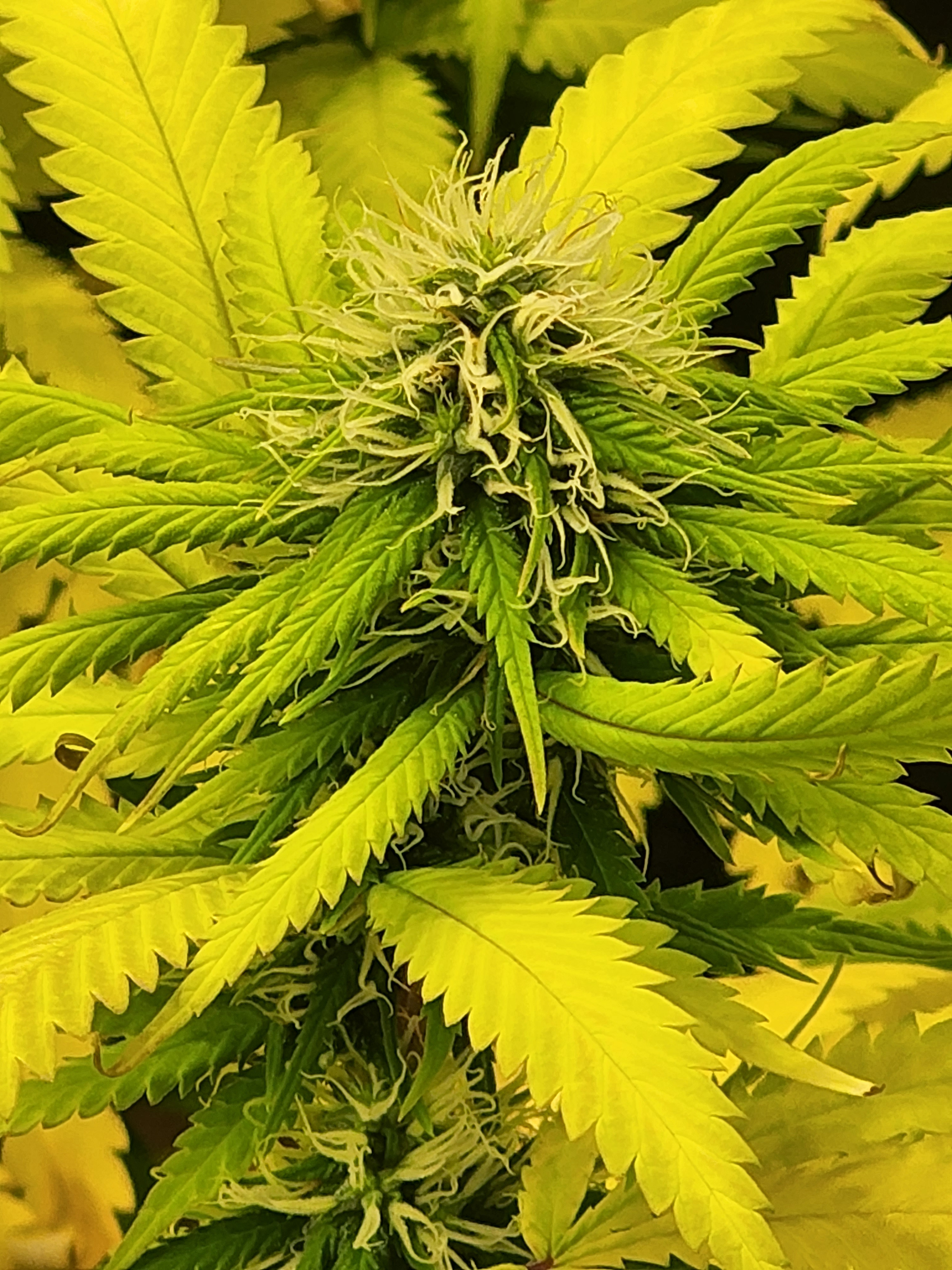 20220711_203731.jpg