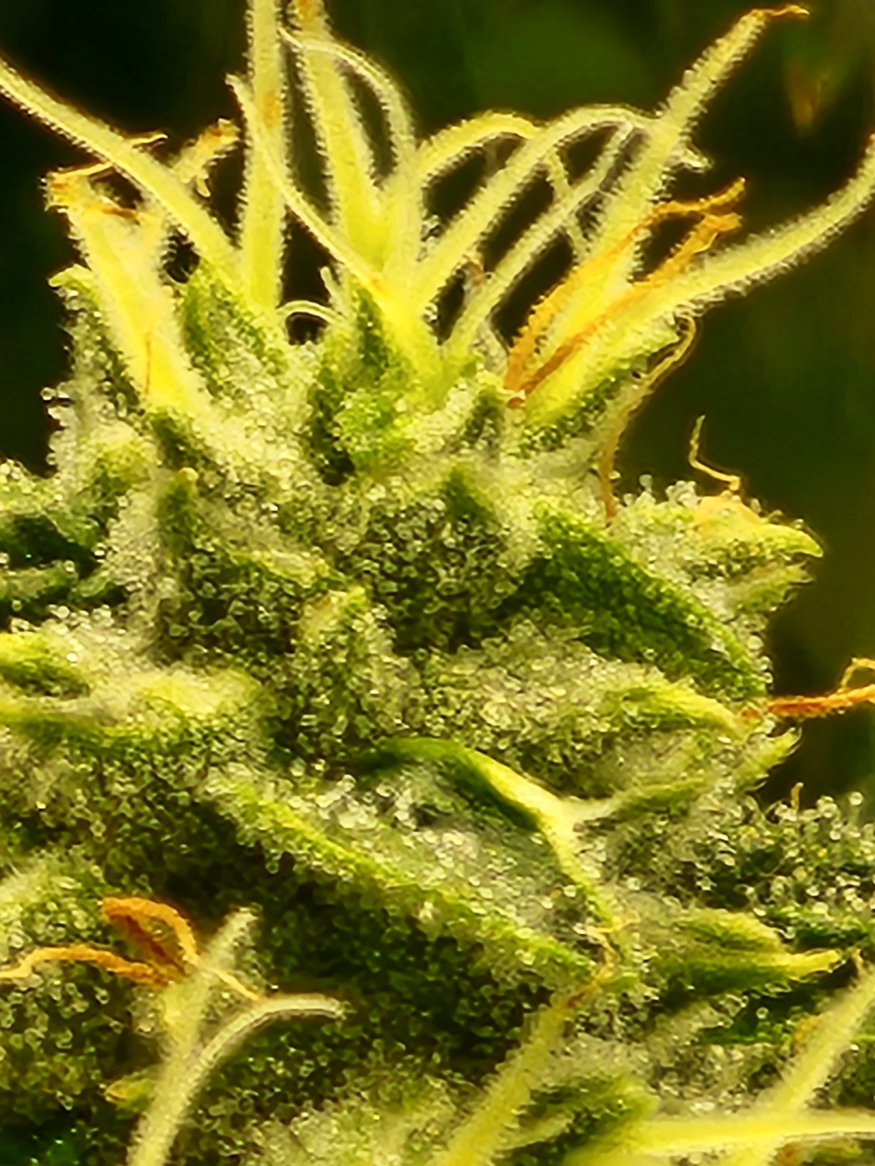 20220711_203921.jpg