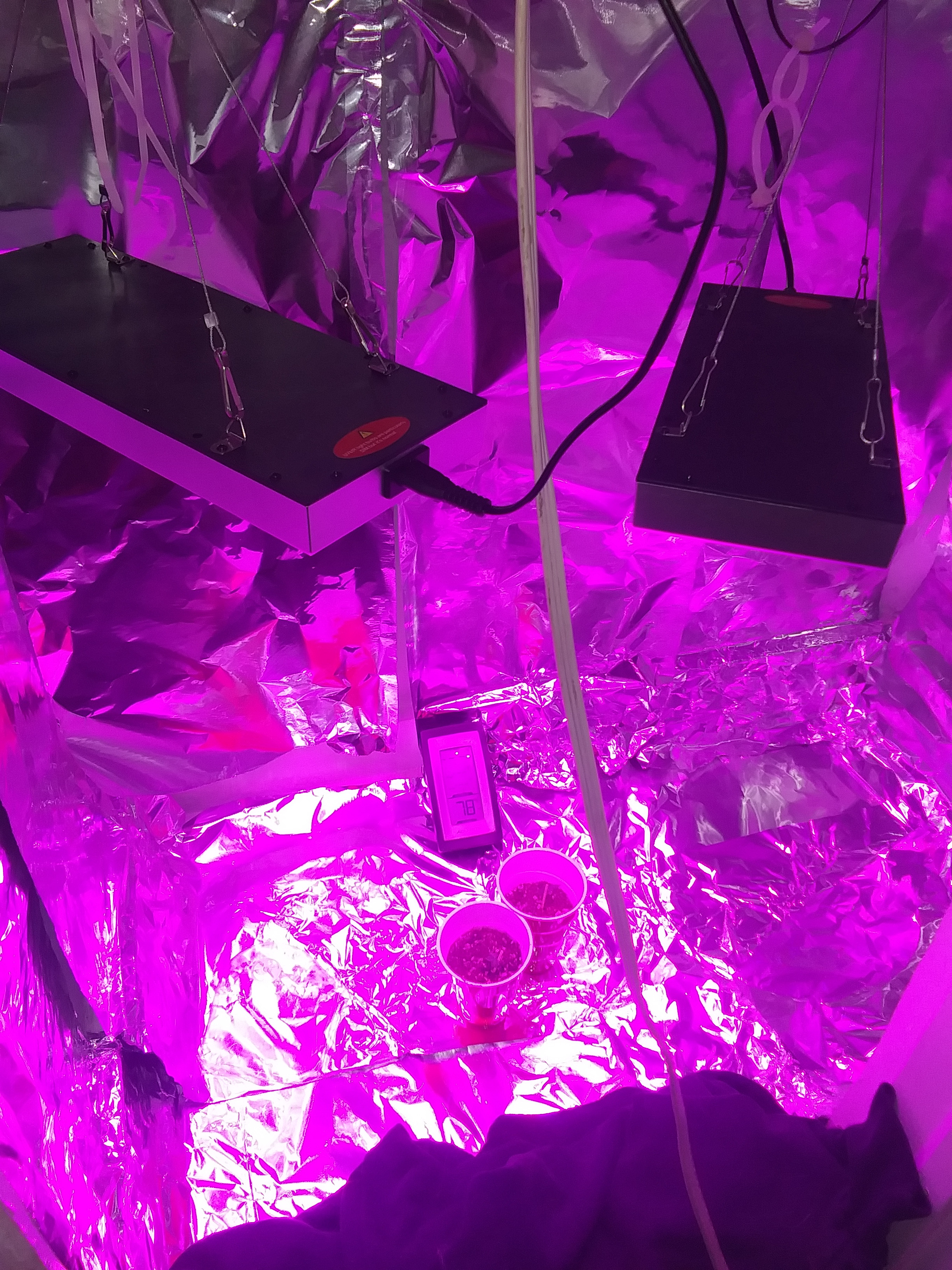 20220718_133548.jpg