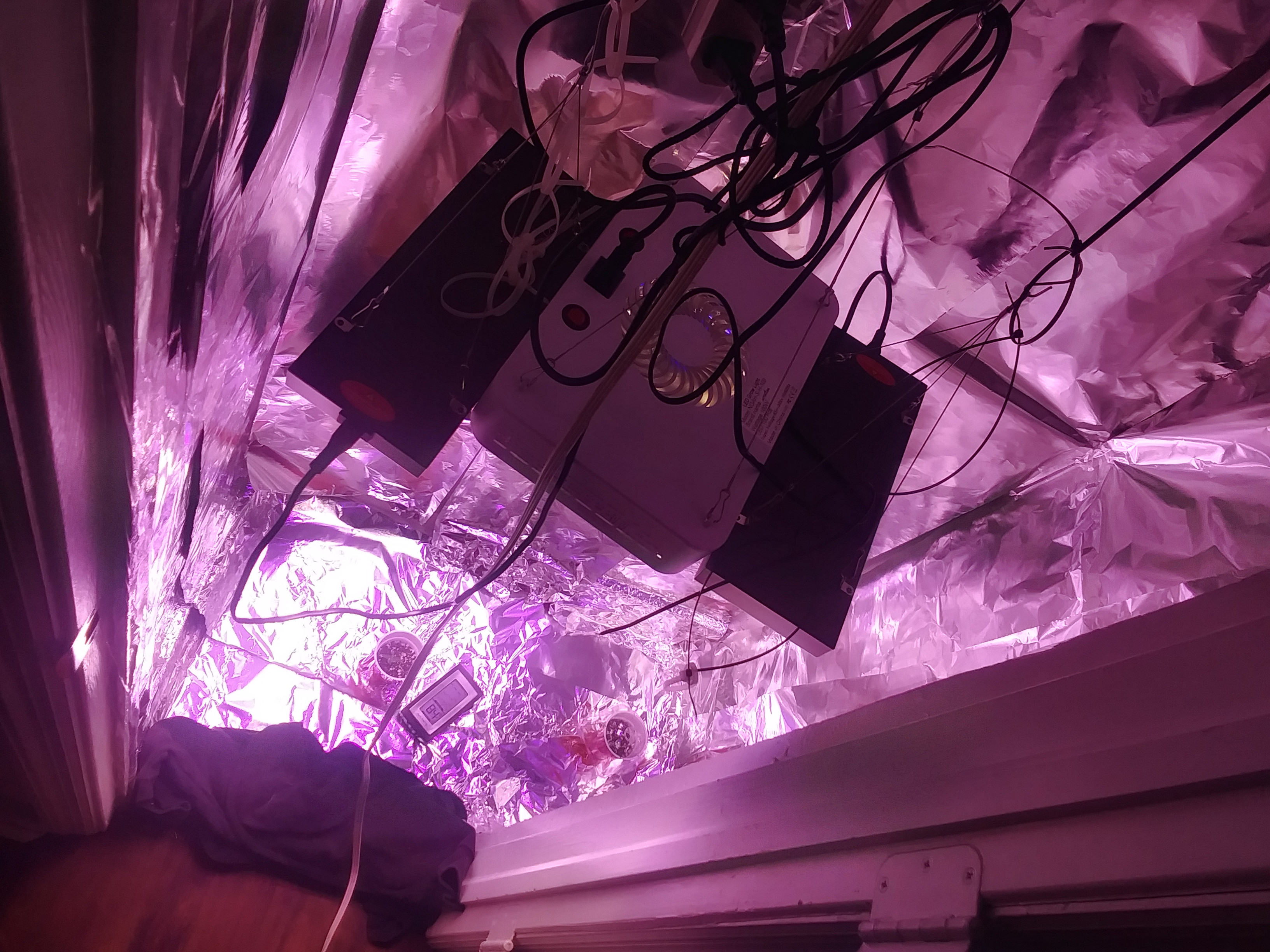 20220723_123529_HDR.jpg