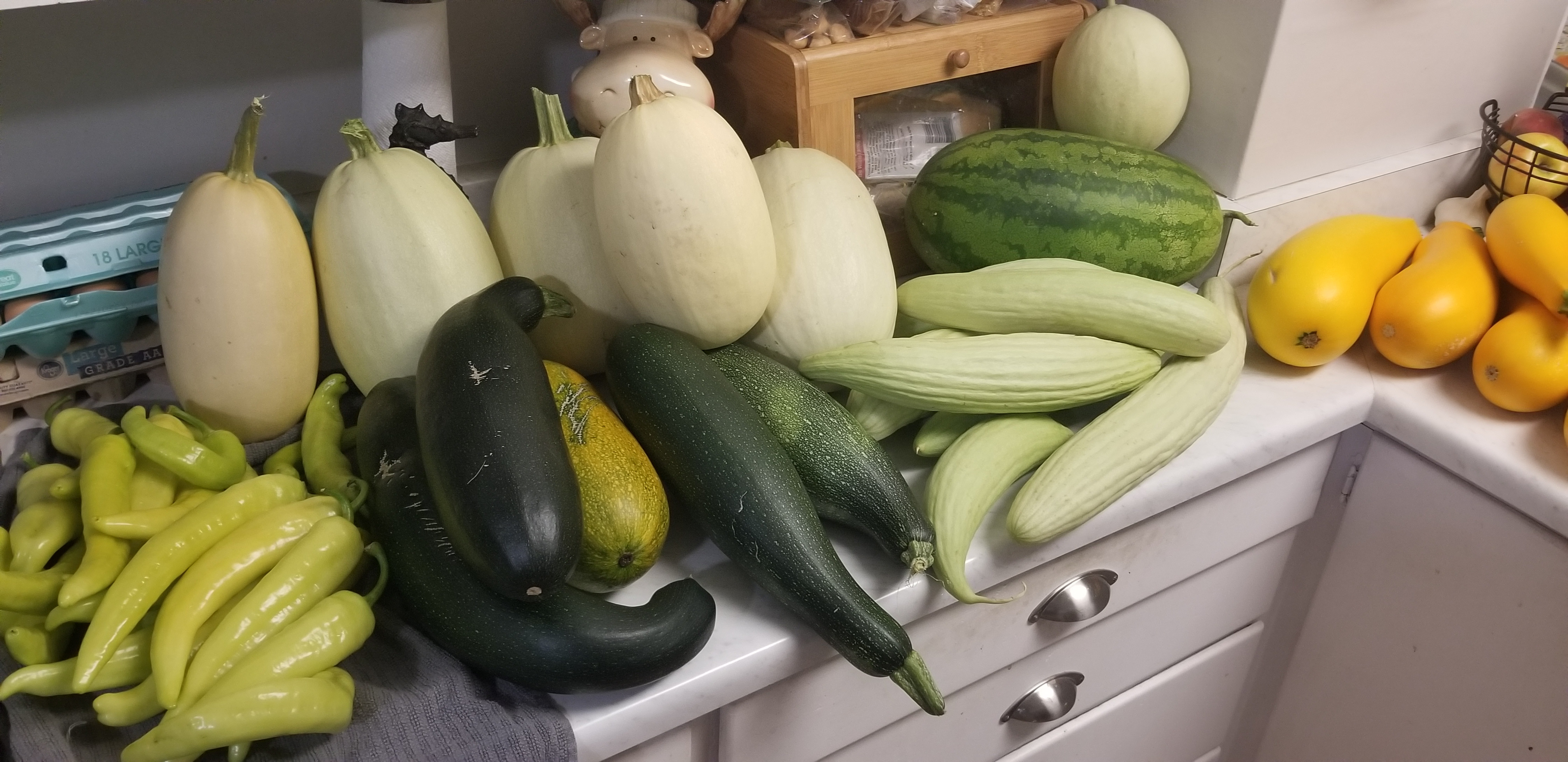 20220918_213656.jpg