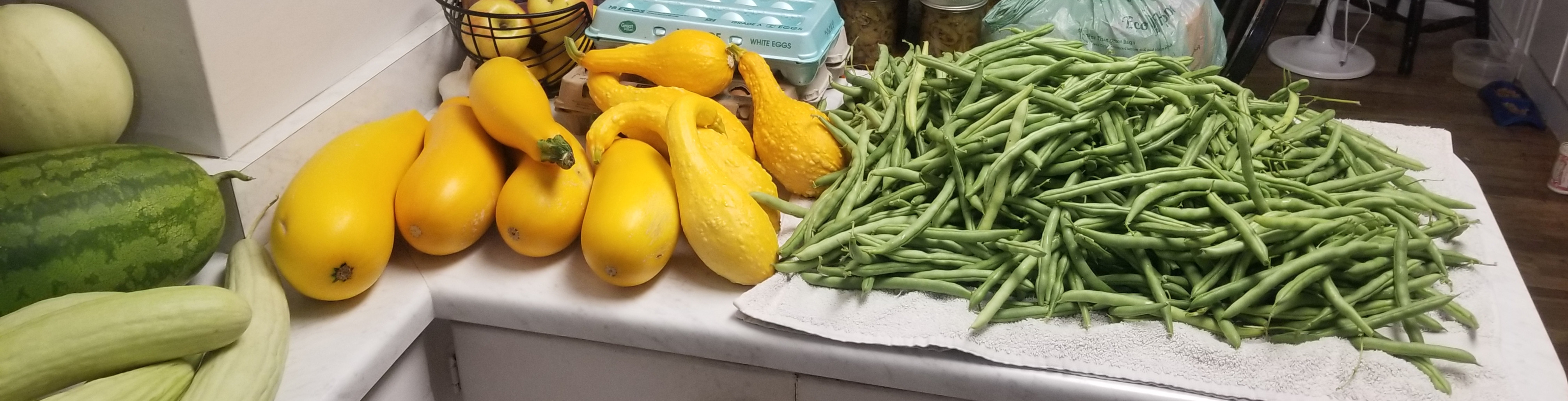 20220919_122344.jpg