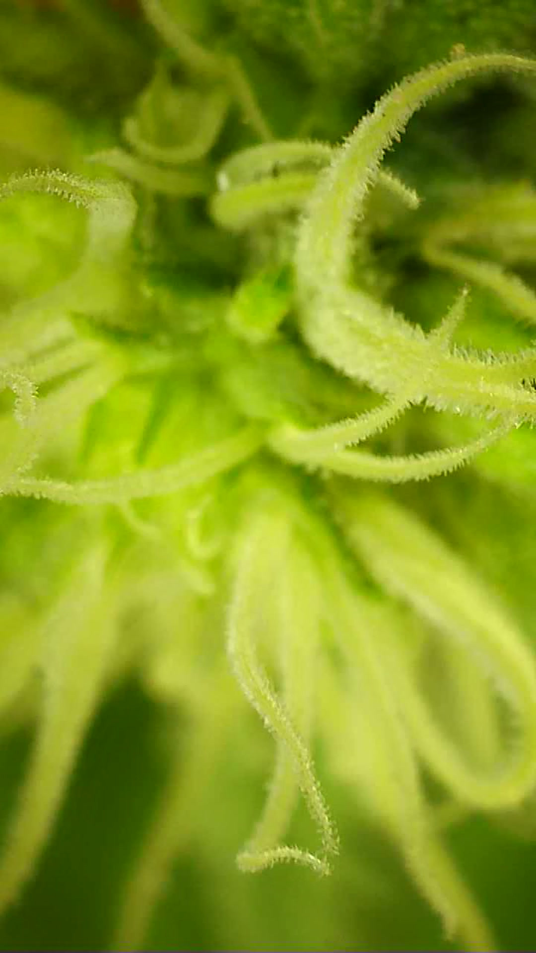 2022_04_26_18_44_03_430.png.jpg