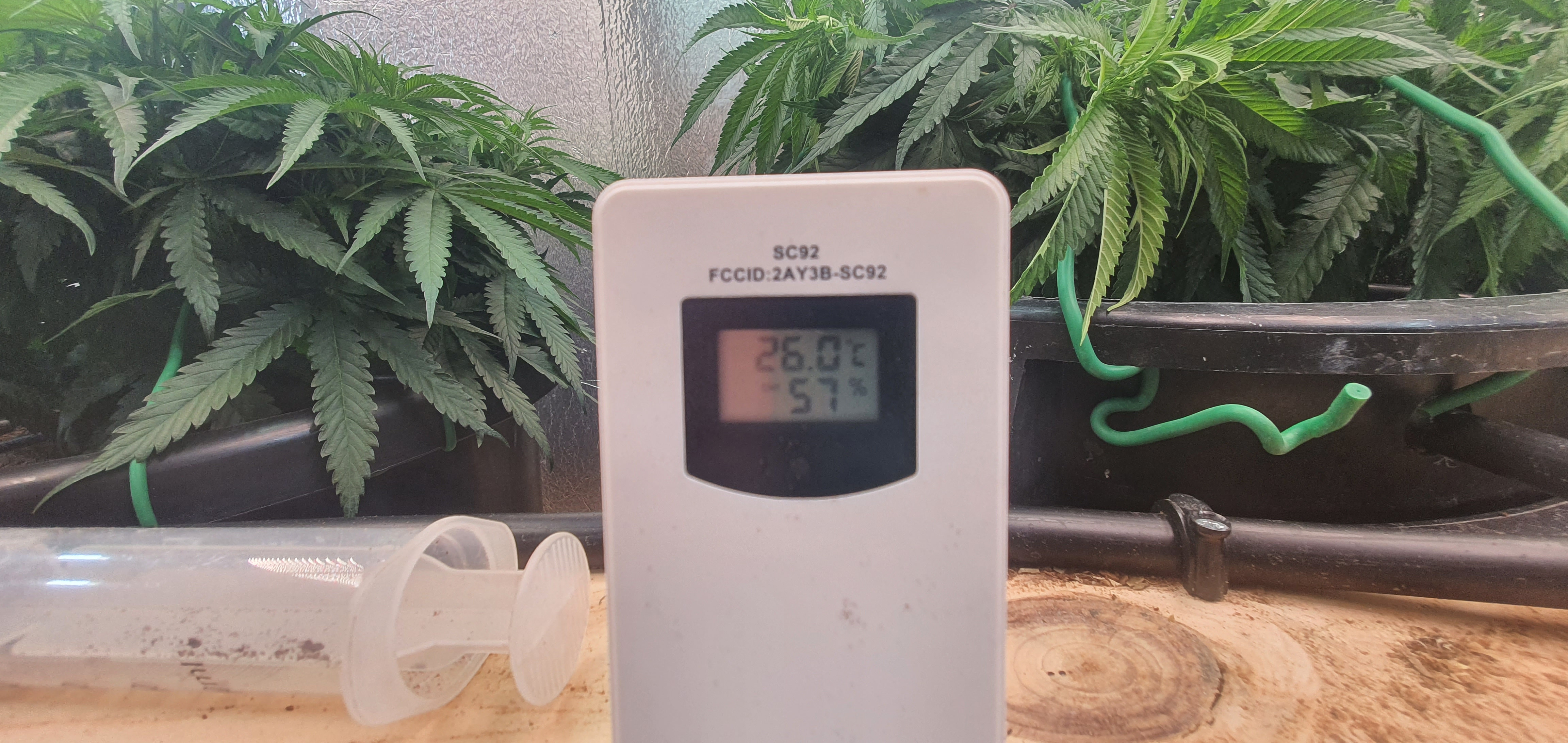 20230210_184147.jpg