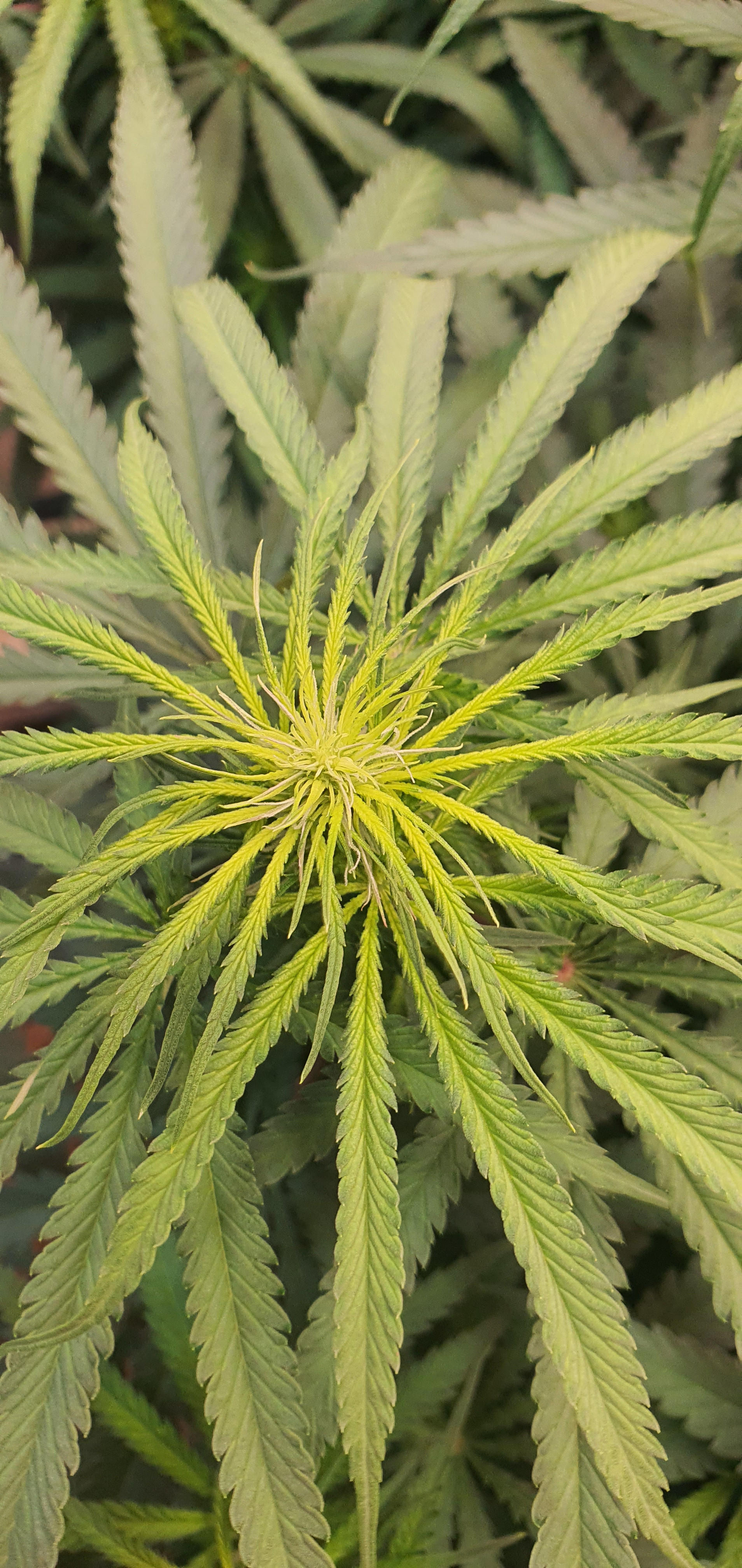 20230310_210553.jpg