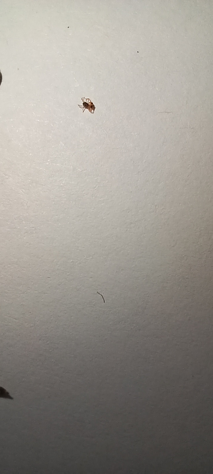 20230319_181703.jpg