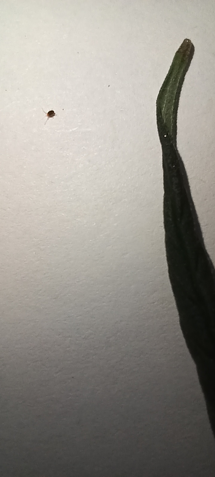 20230319_181716.jpg