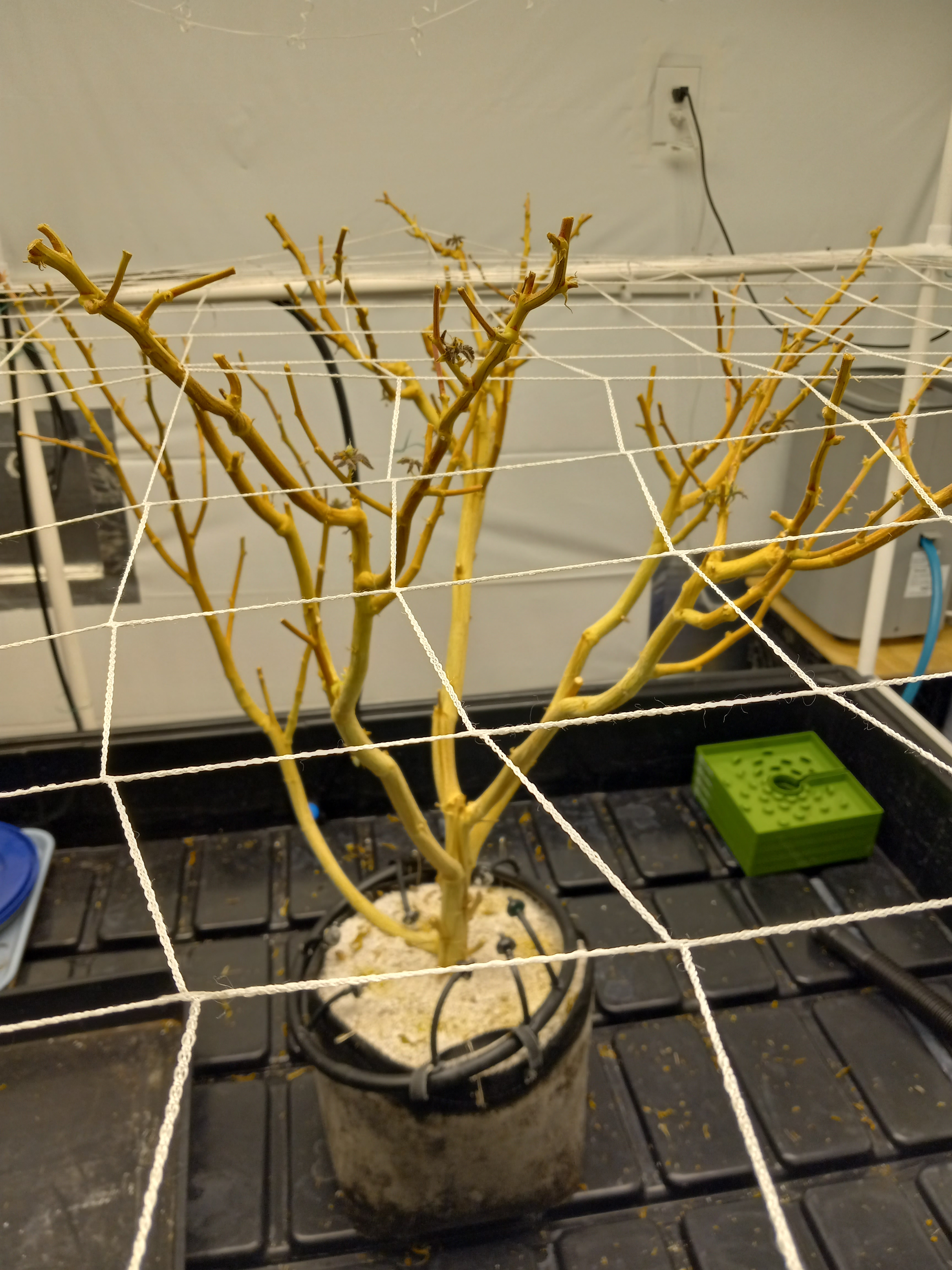 20230331_073242.jpg