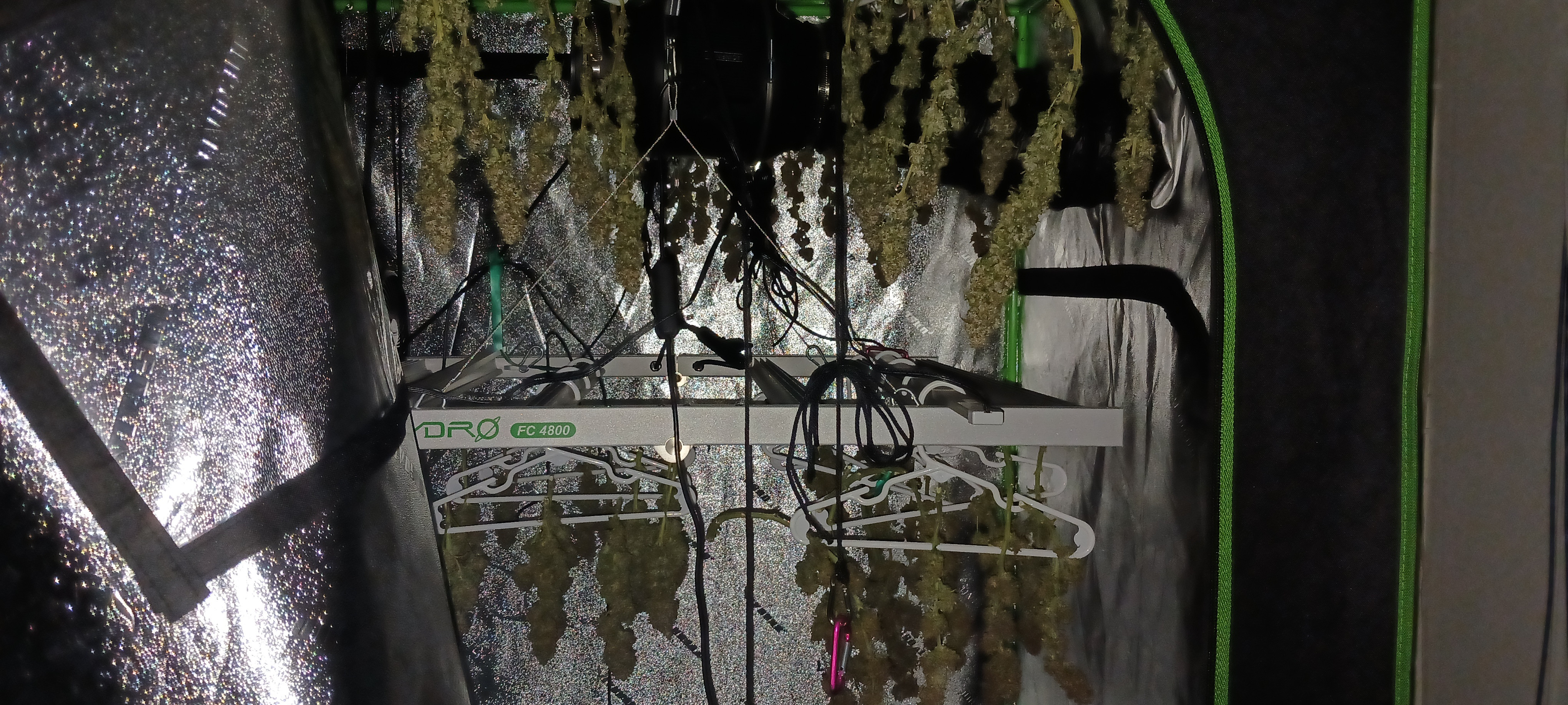 20230422_122704.jpg