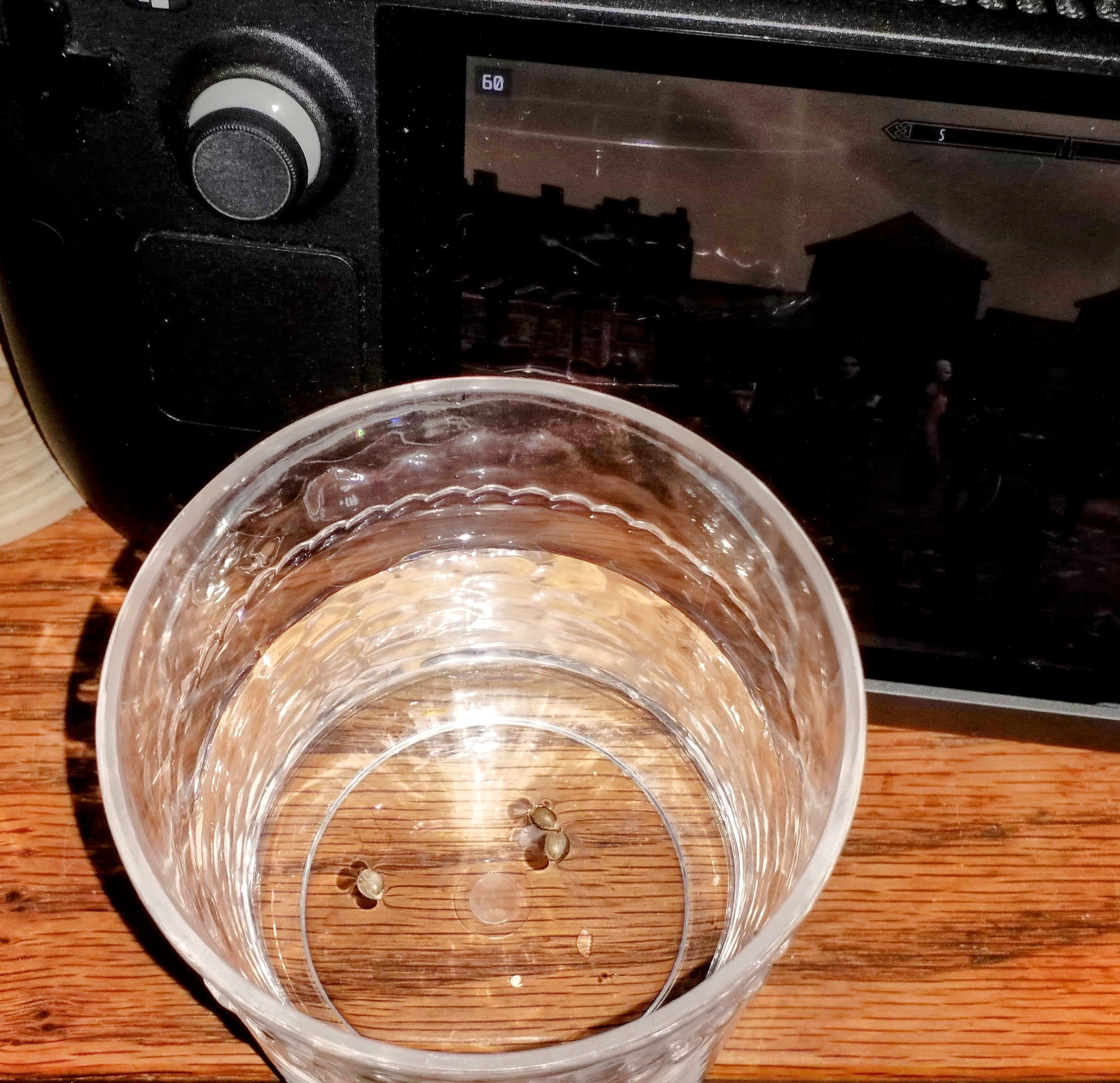 20230424_151036~2.jpg