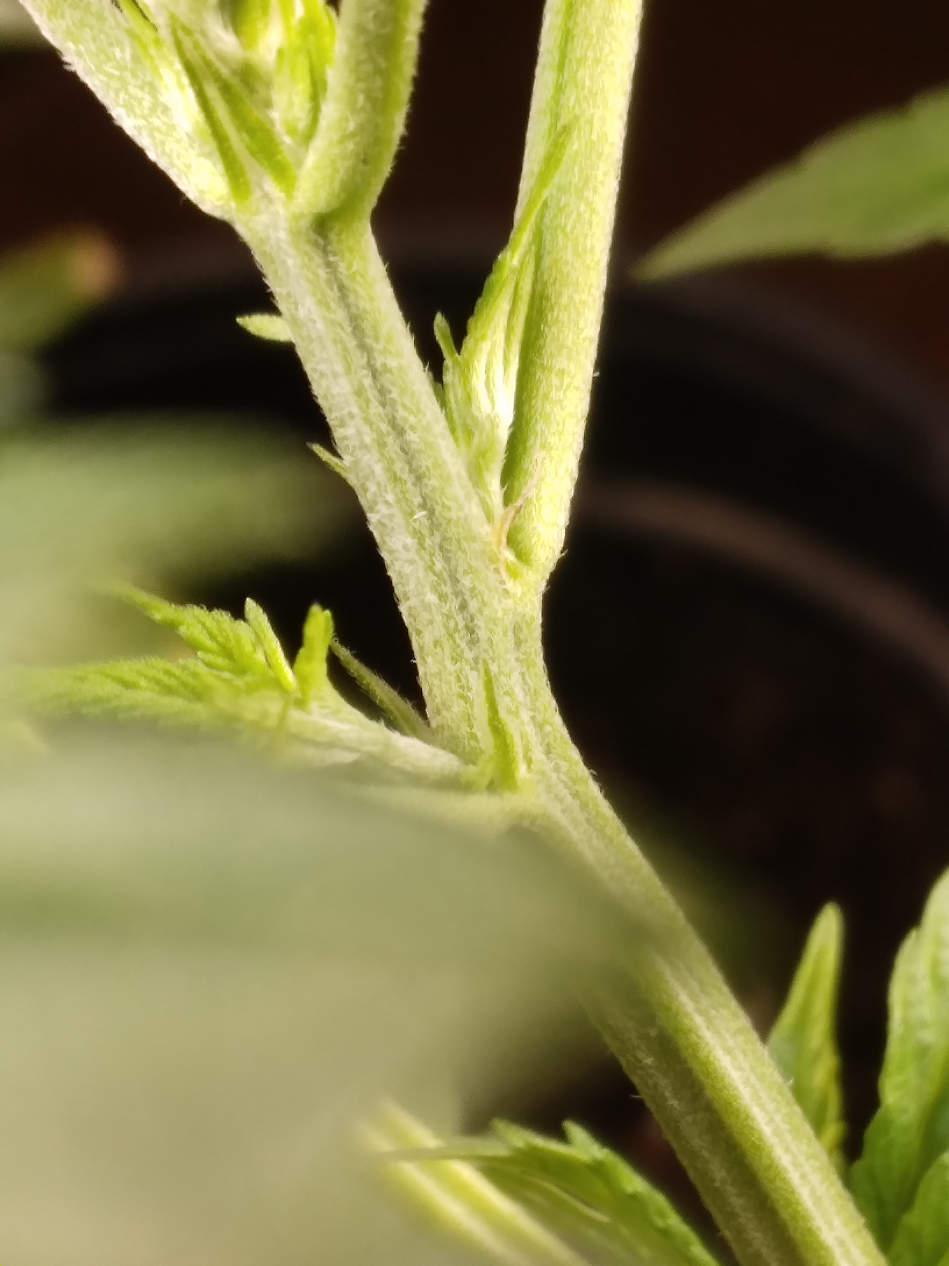 20230516_122815[1].jpg