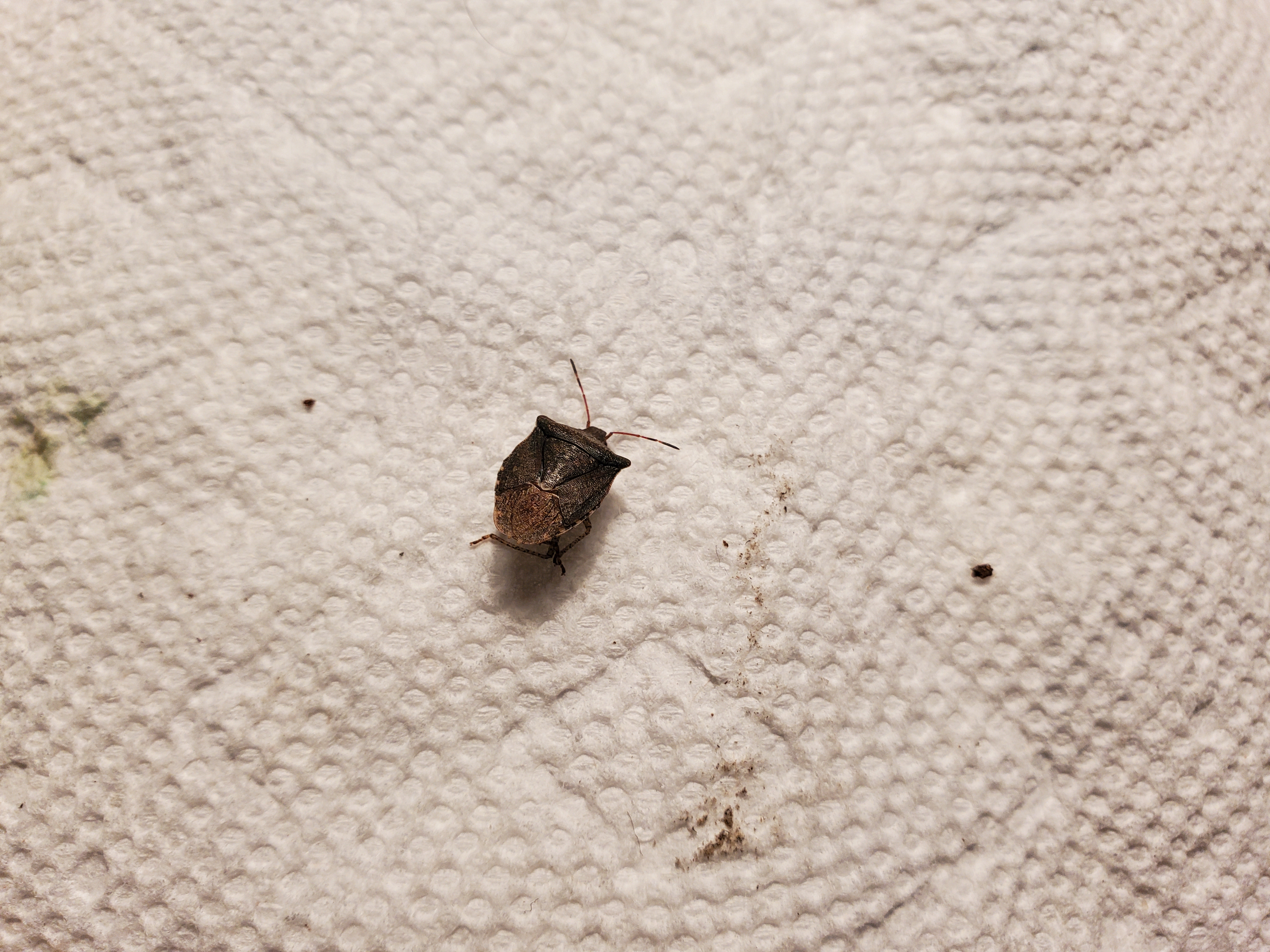 20230524_170551.jpg