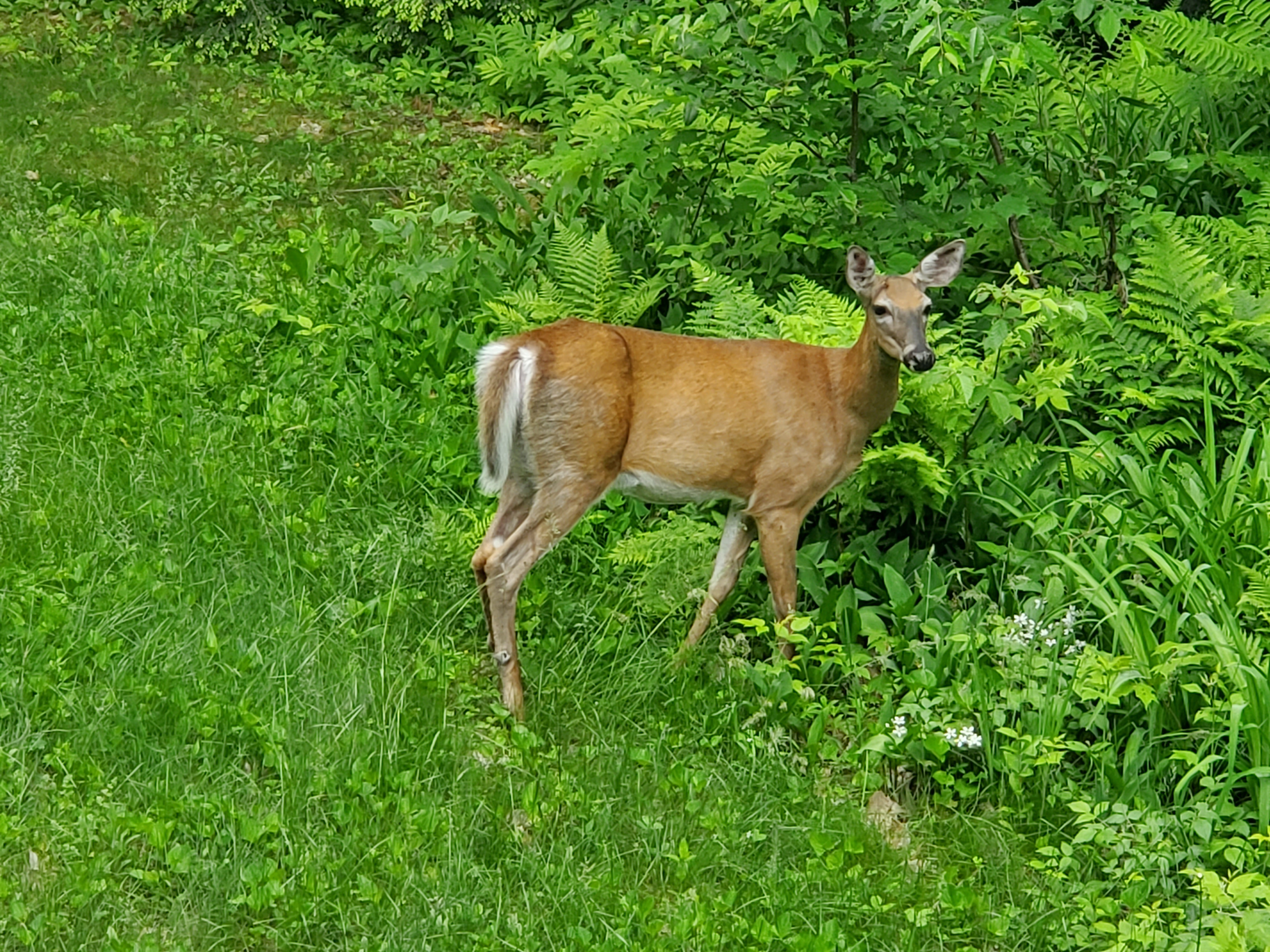 20230612_090339.jpg