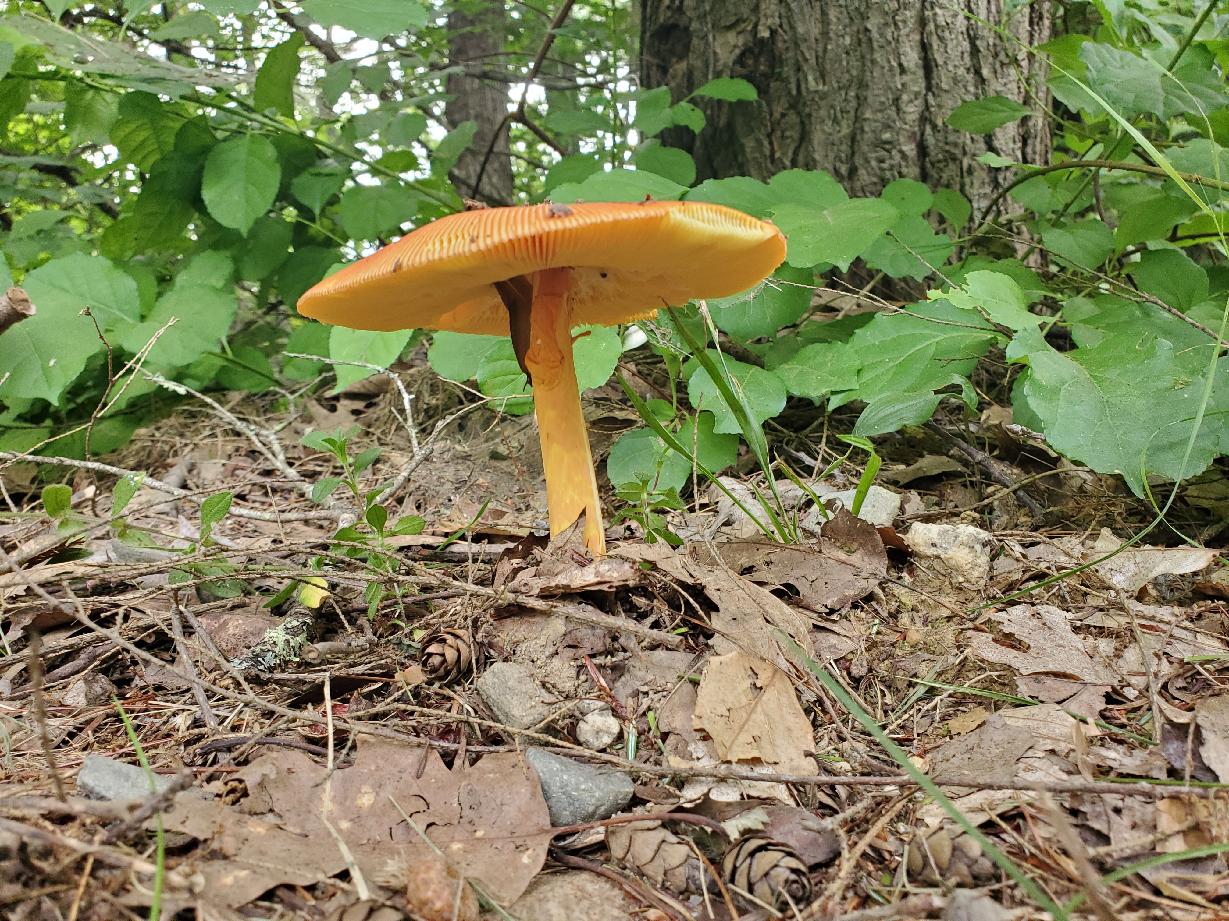 20230715_182506.jpg