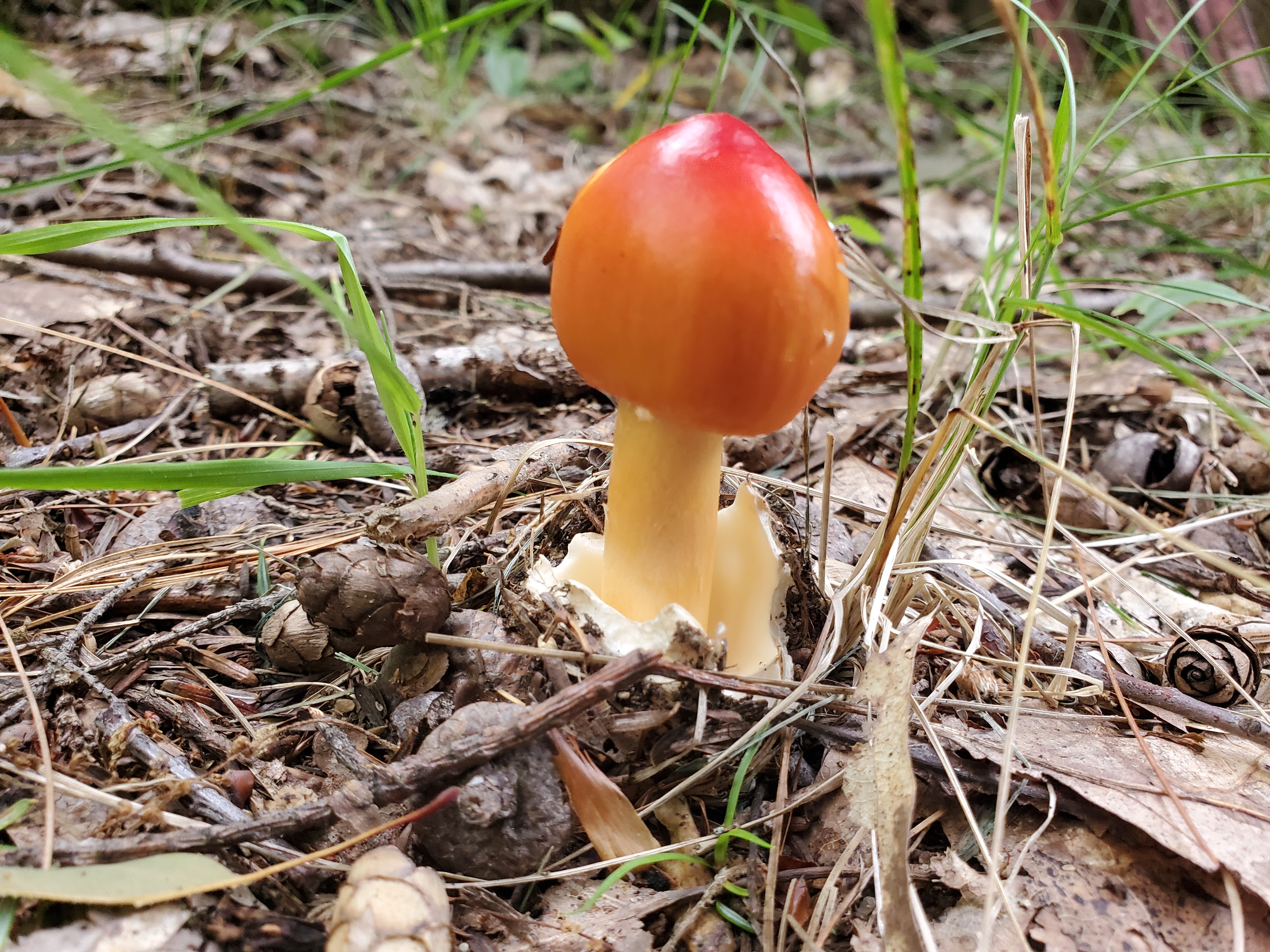 20230715_182525.jpg