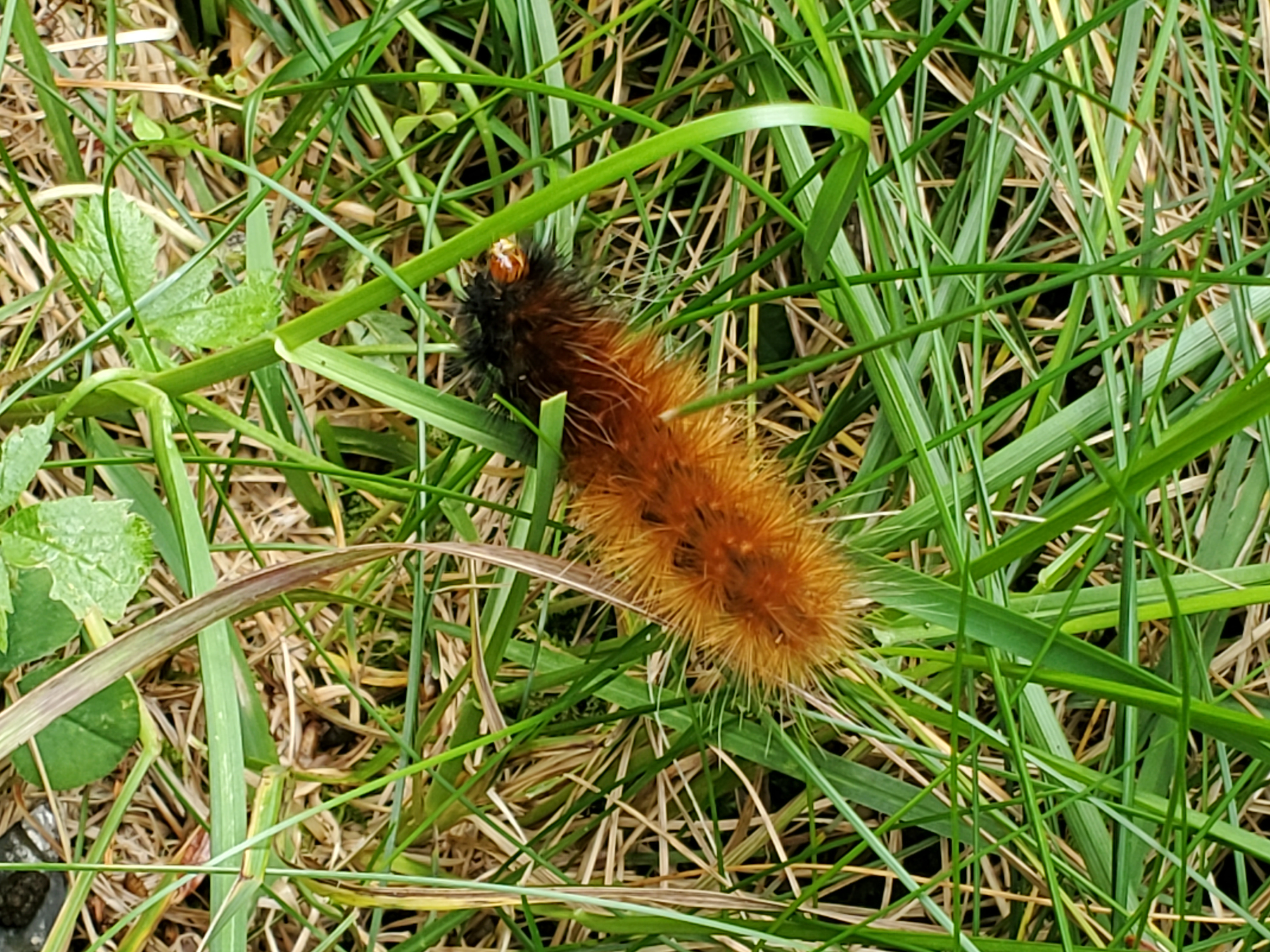 20230902_133508.jpg