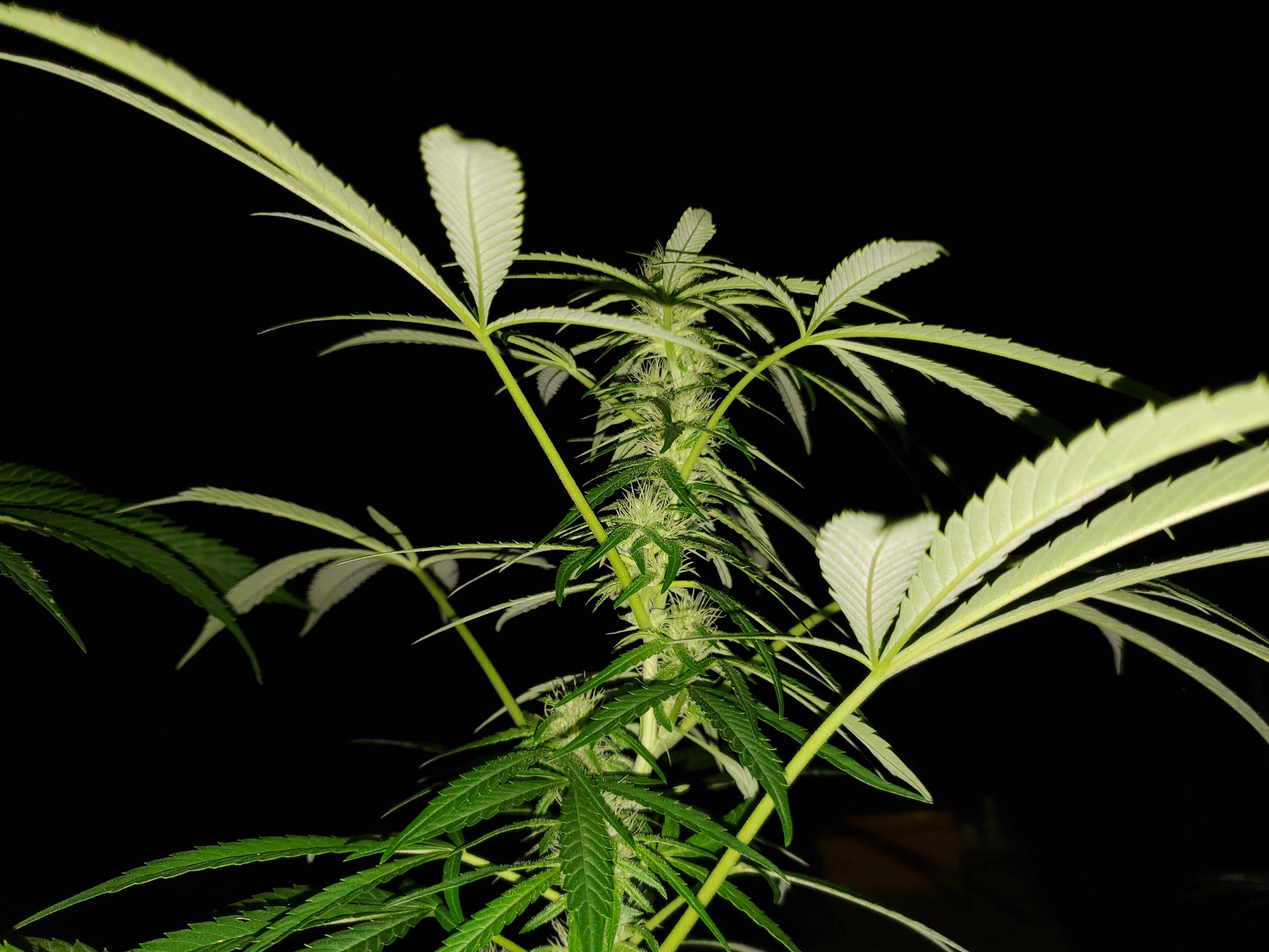 20230905_215153A.jpg