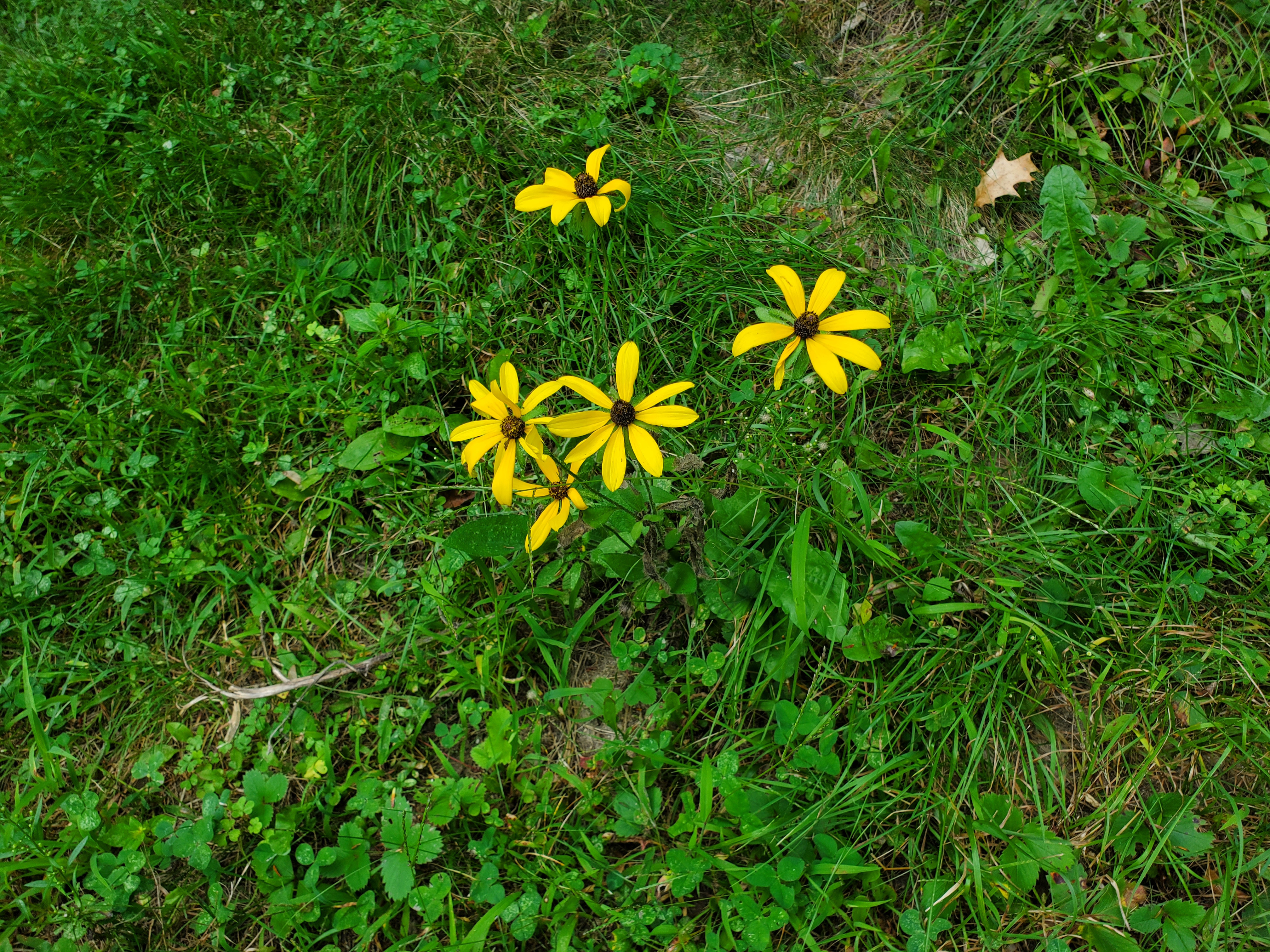 20230908_160254.jpg