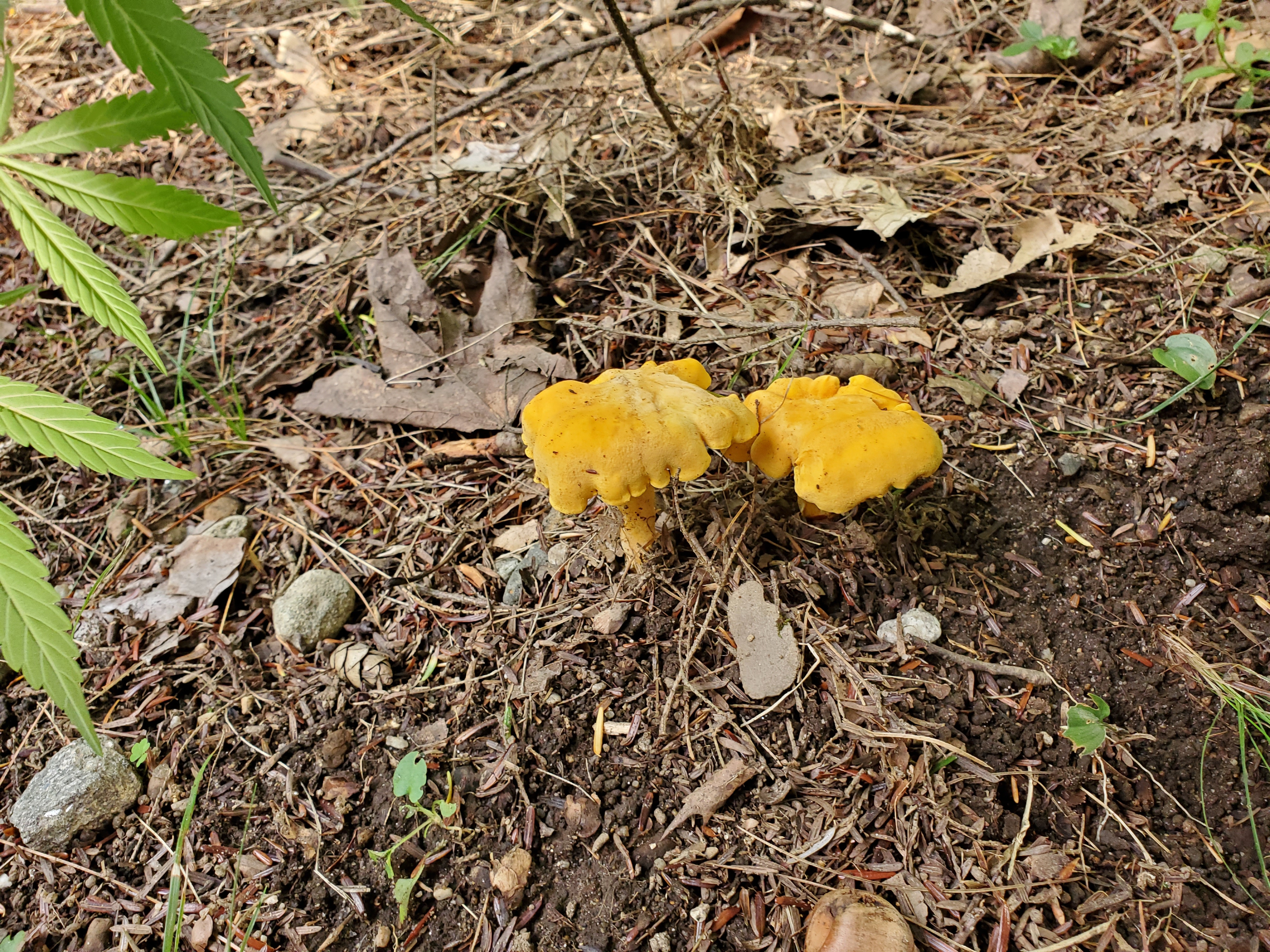 20230914_171133.jpg