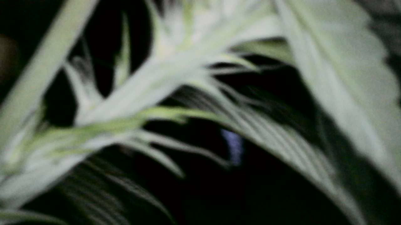 2024-03-11-123235.jpg