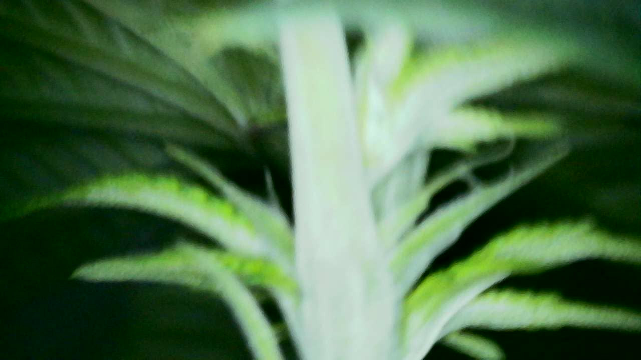 2024-03-11-124210 (1).jpg