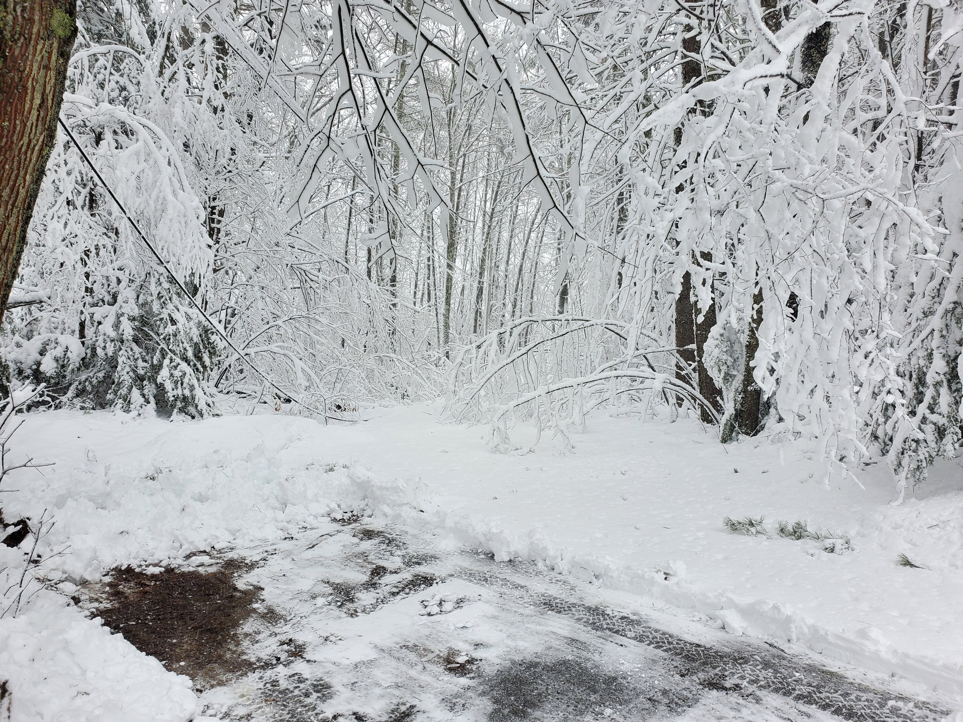 Click image for larger version  Name:	2024-4-4 SNOW 104426.jpg Views:	0 Size:	3.77 MB ID:	618748