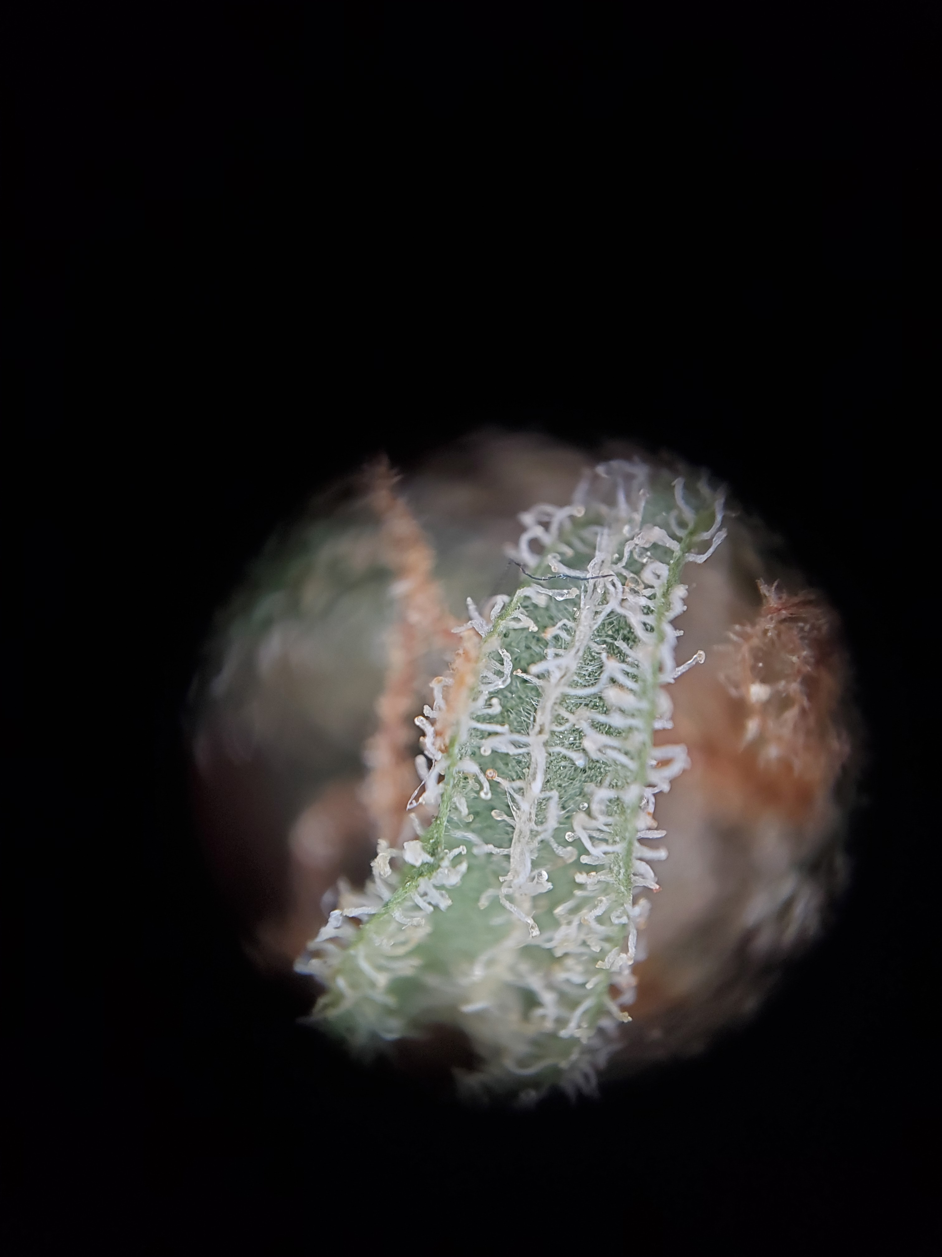 20240109_141012.jpg
