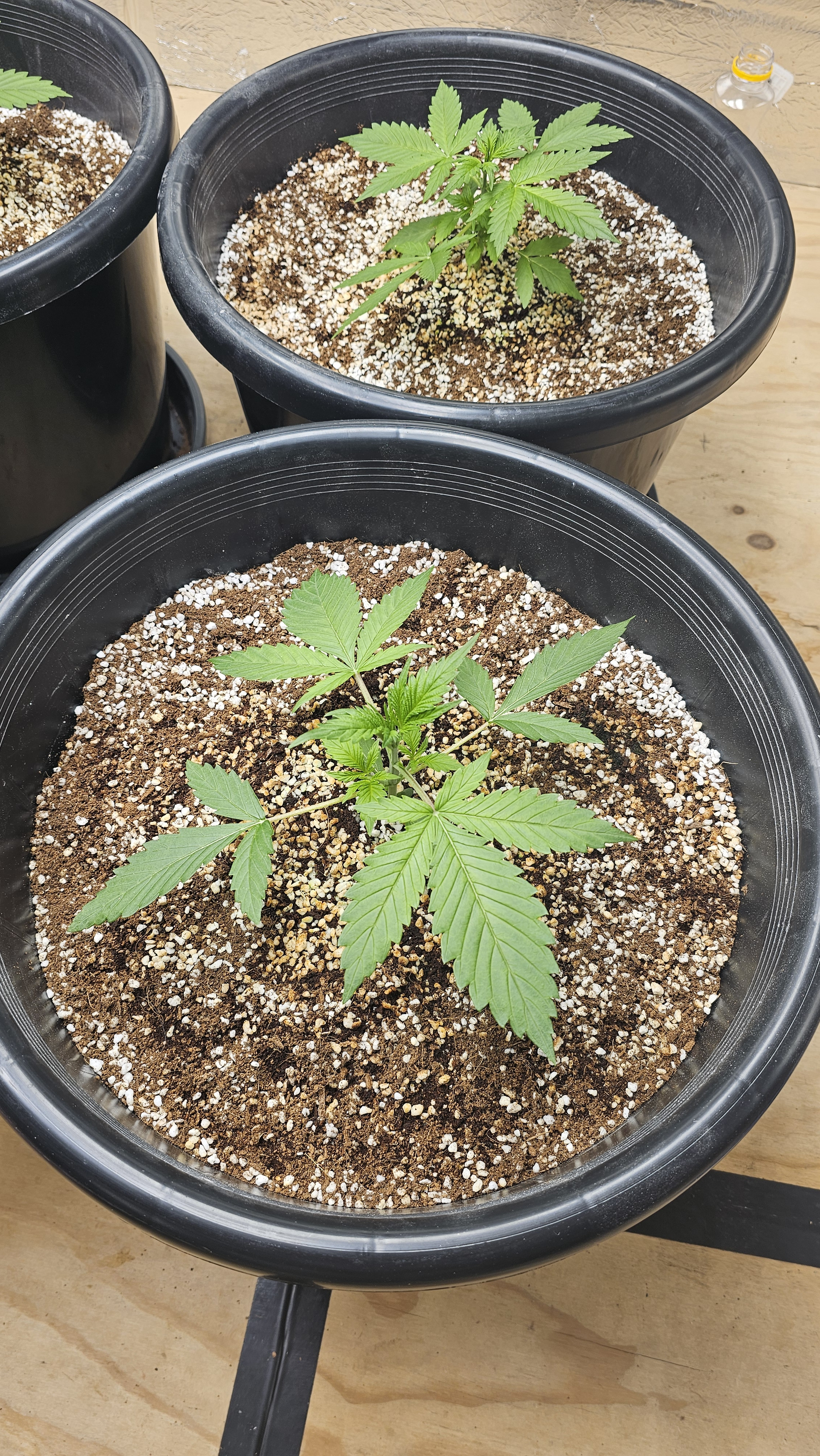 20240218_082734.jpg
