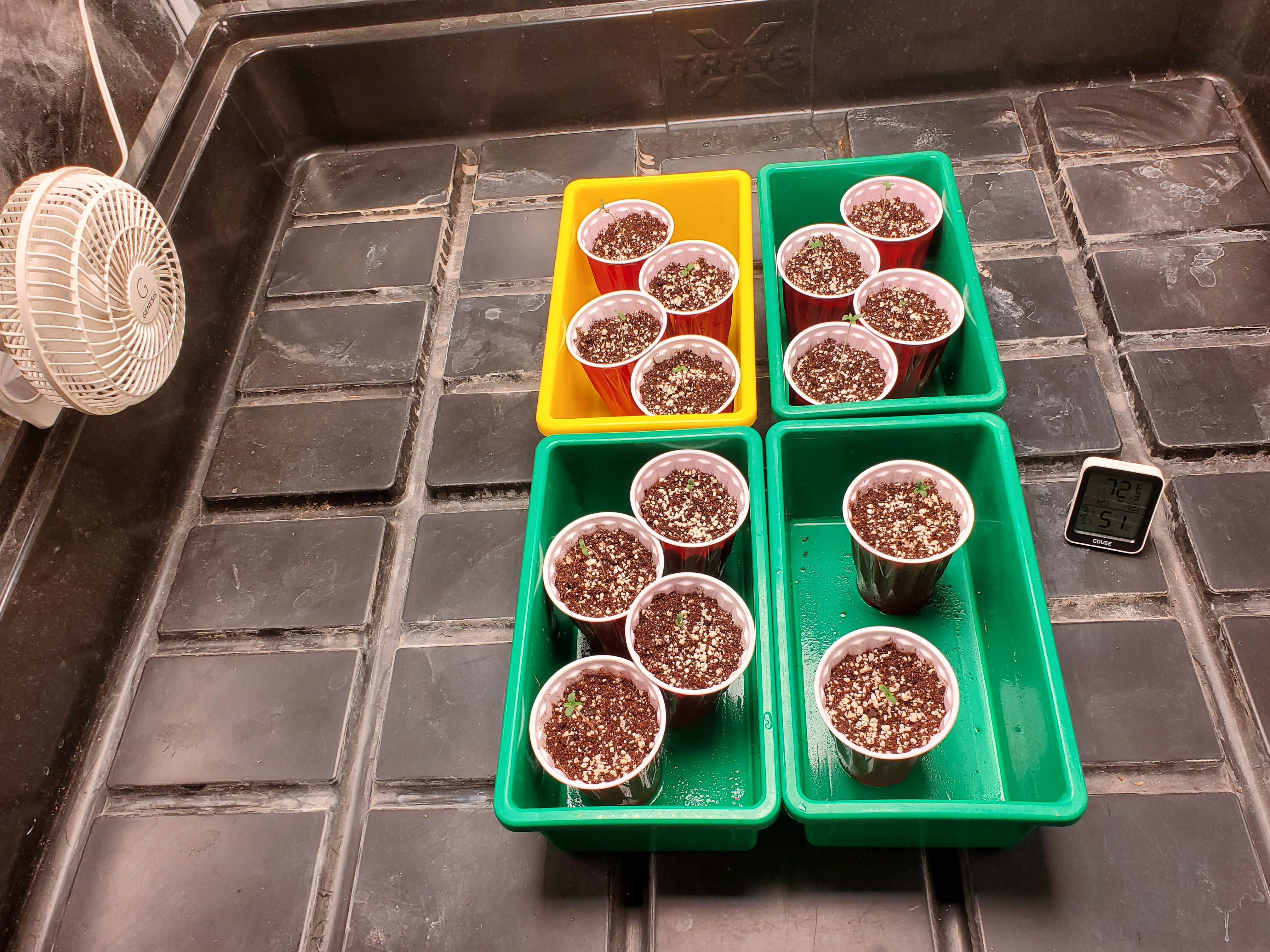 20240412_193901.jpg