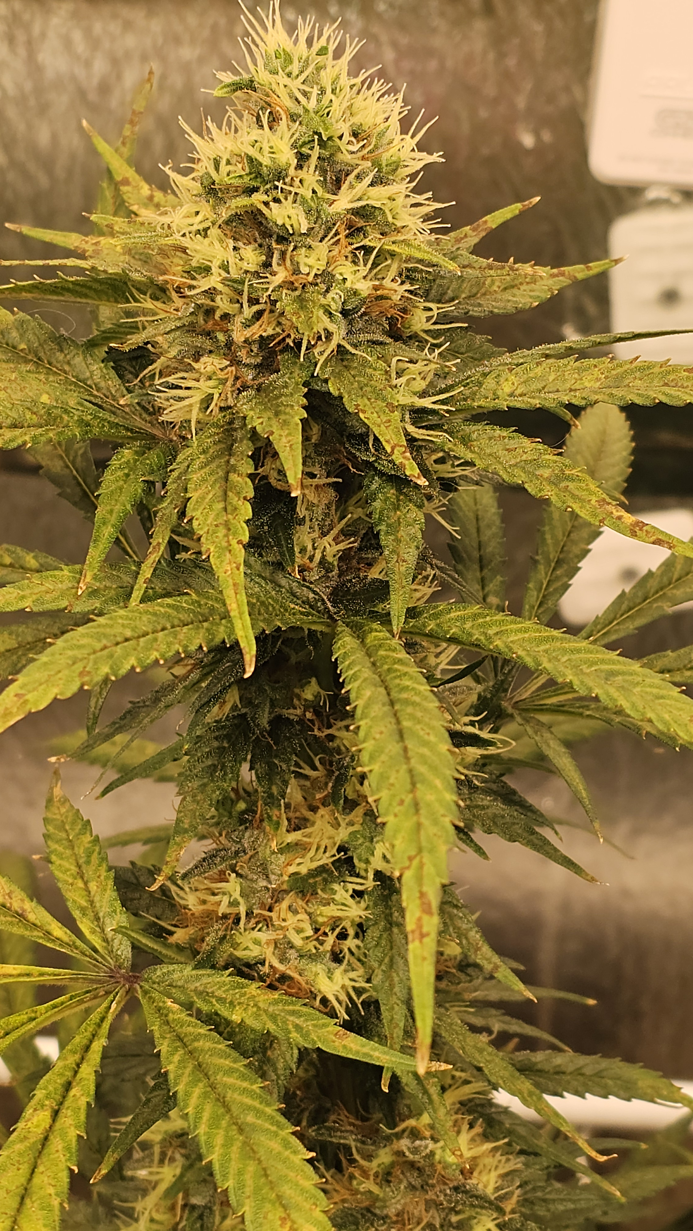 20240630_031902.jpg
