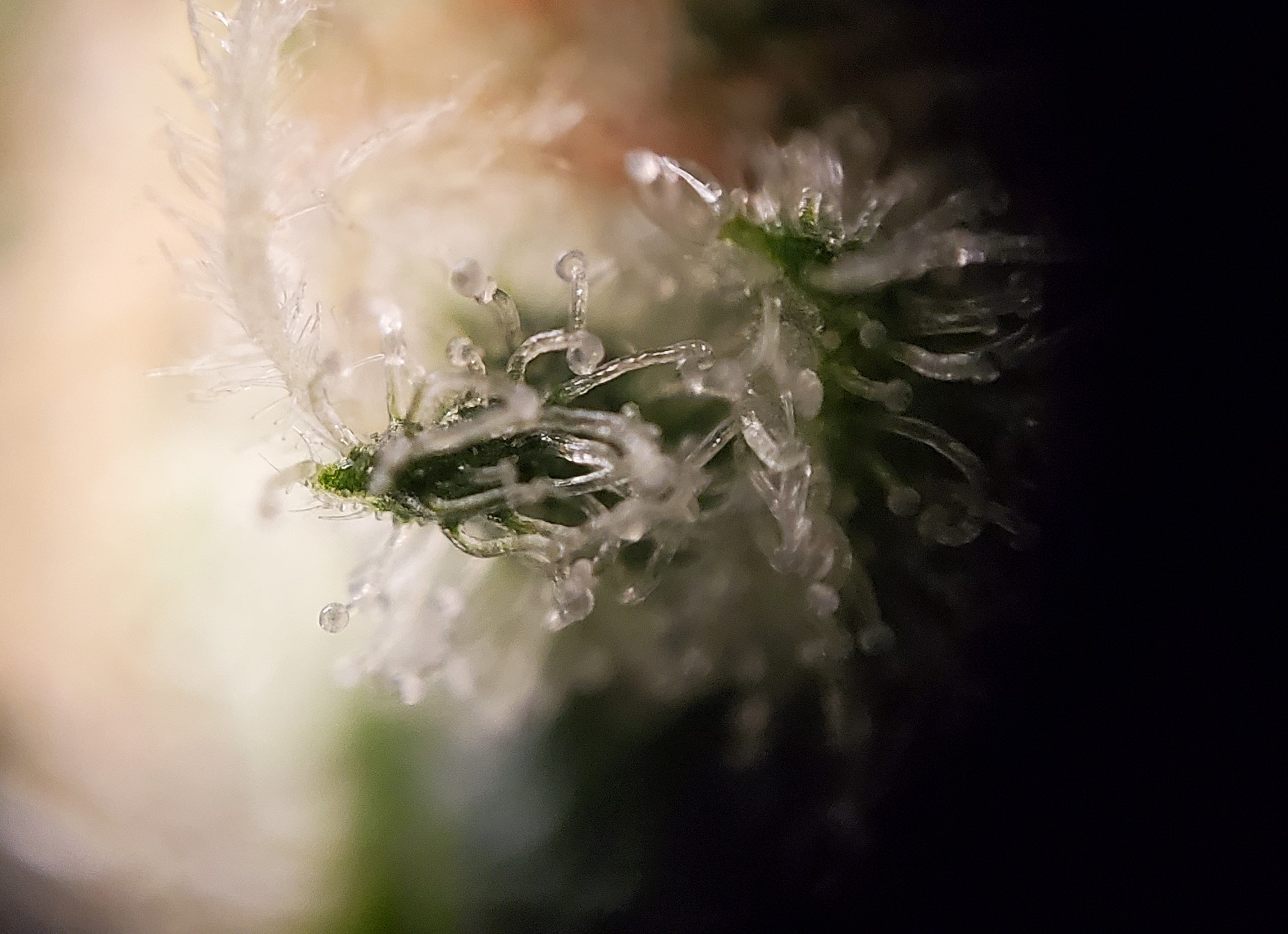 20240807_201207 E.jpg