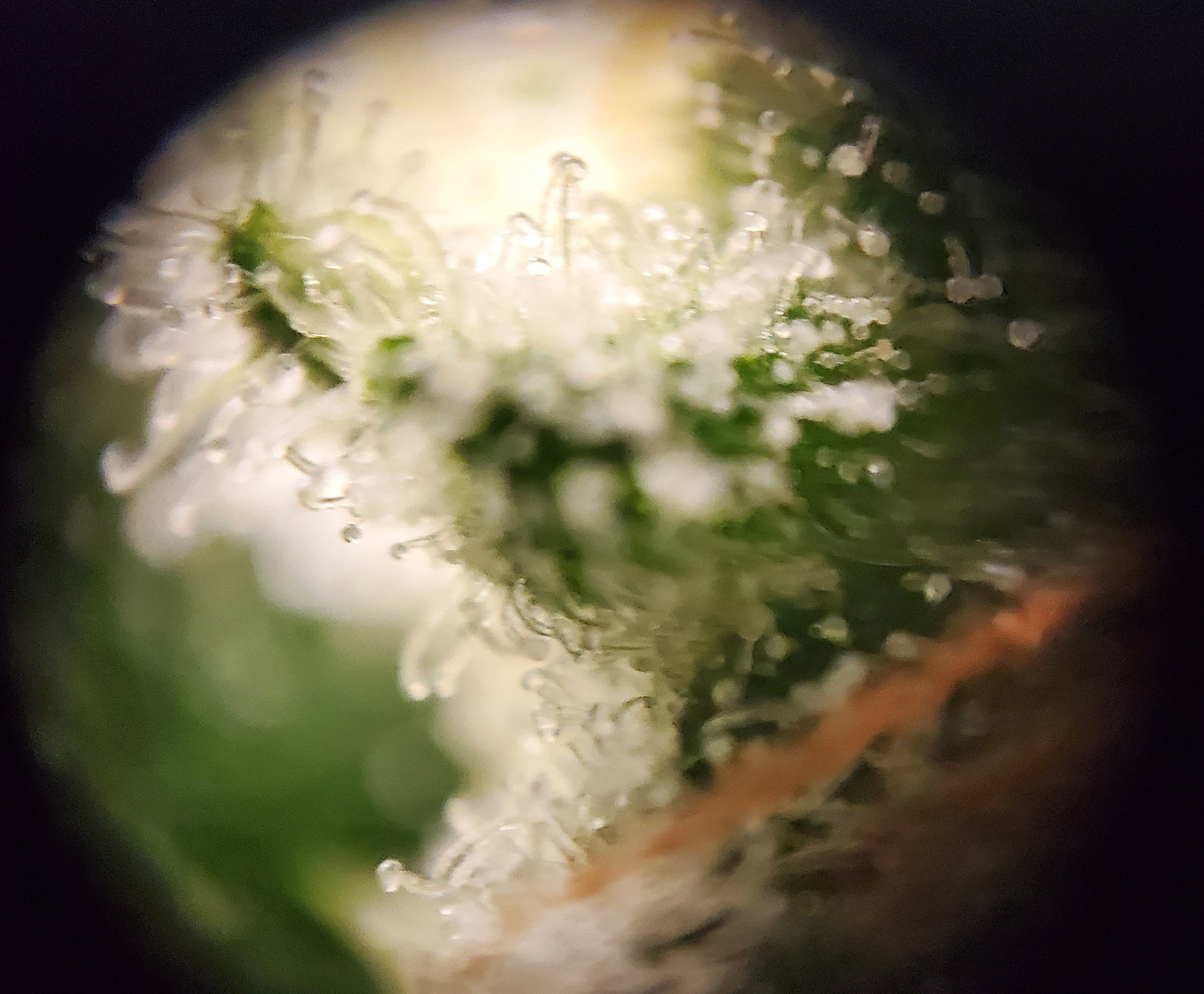 20240807_201231 E.jpg