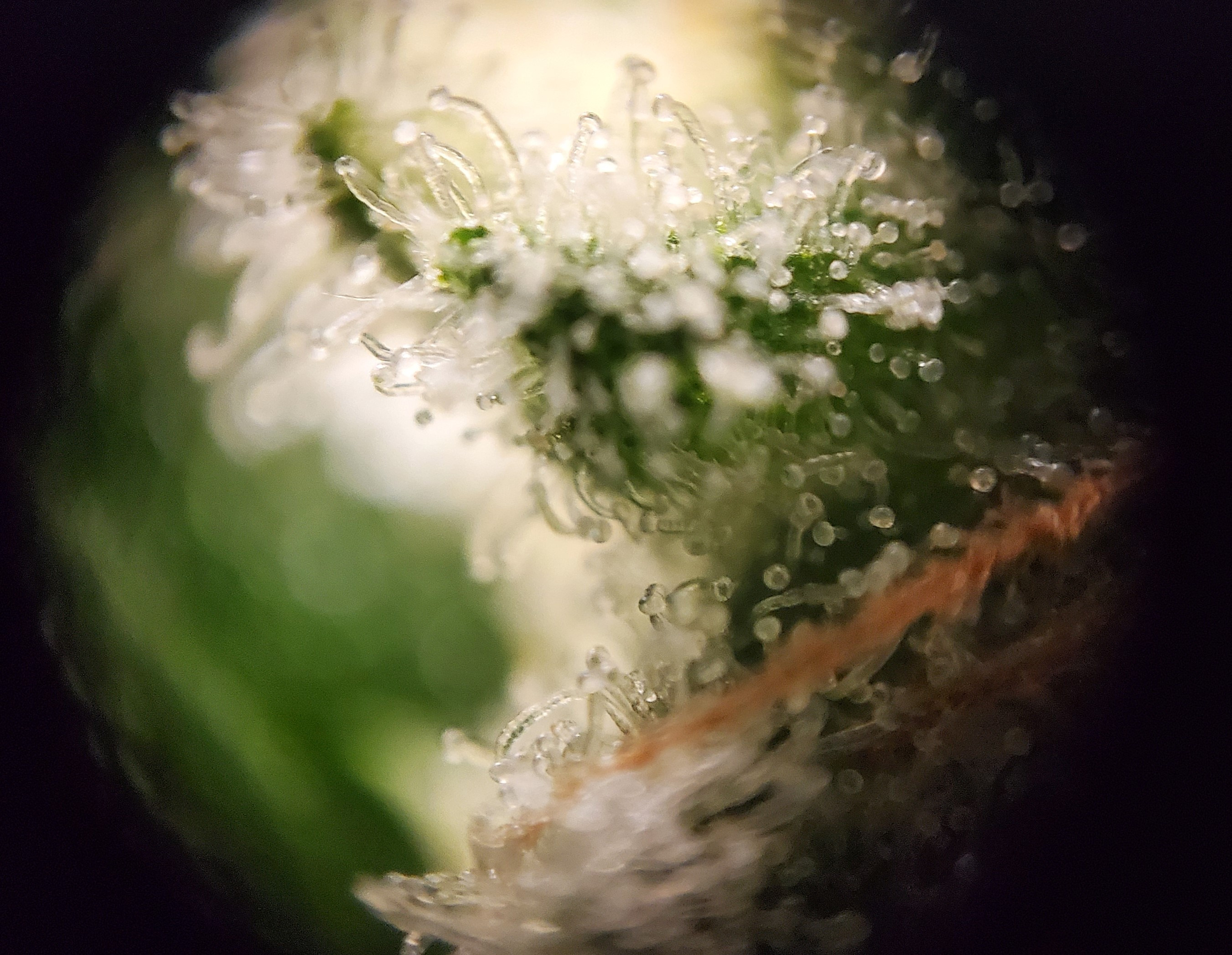 20240807_201236 E.jpg
