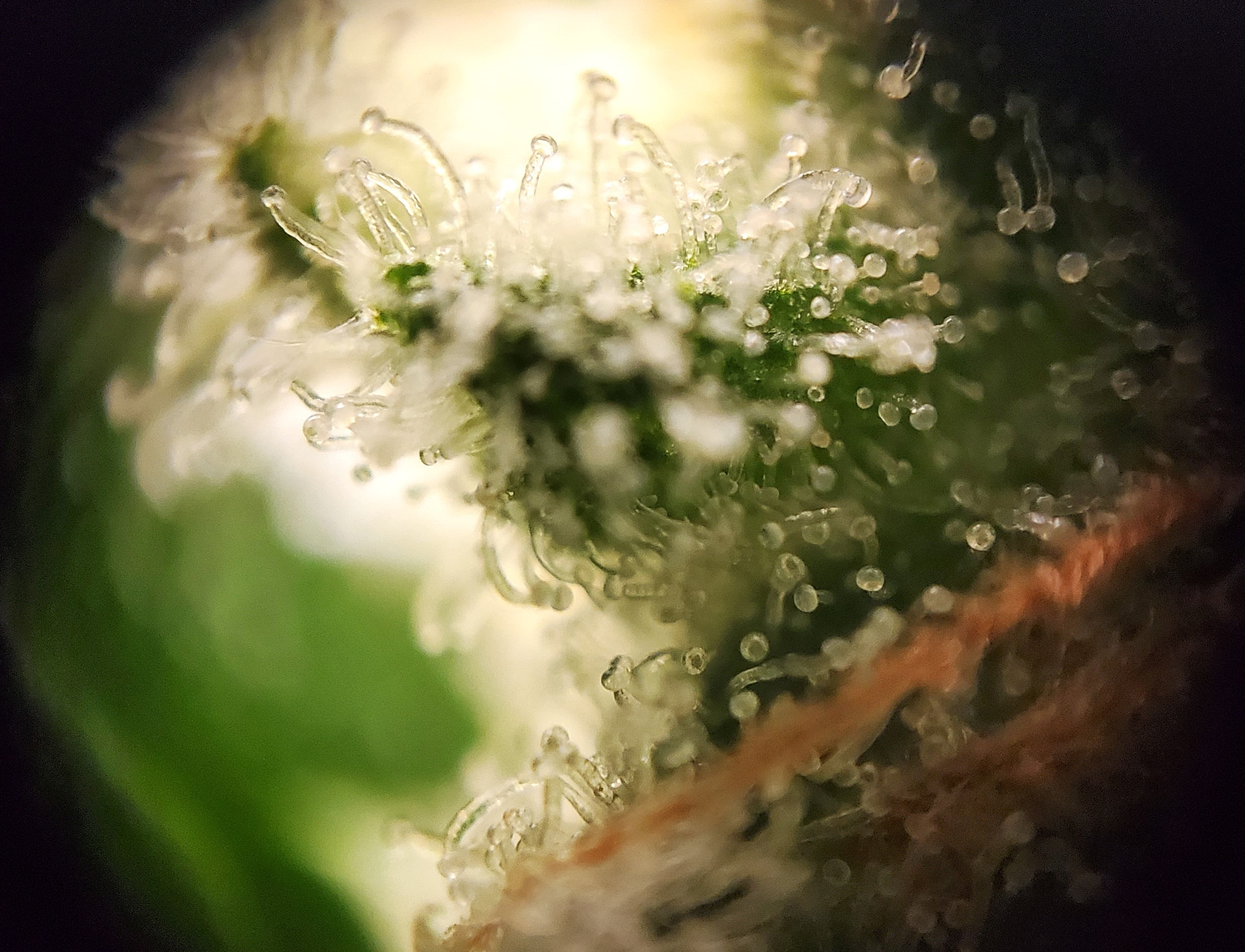 20240807_201238 E.jpg