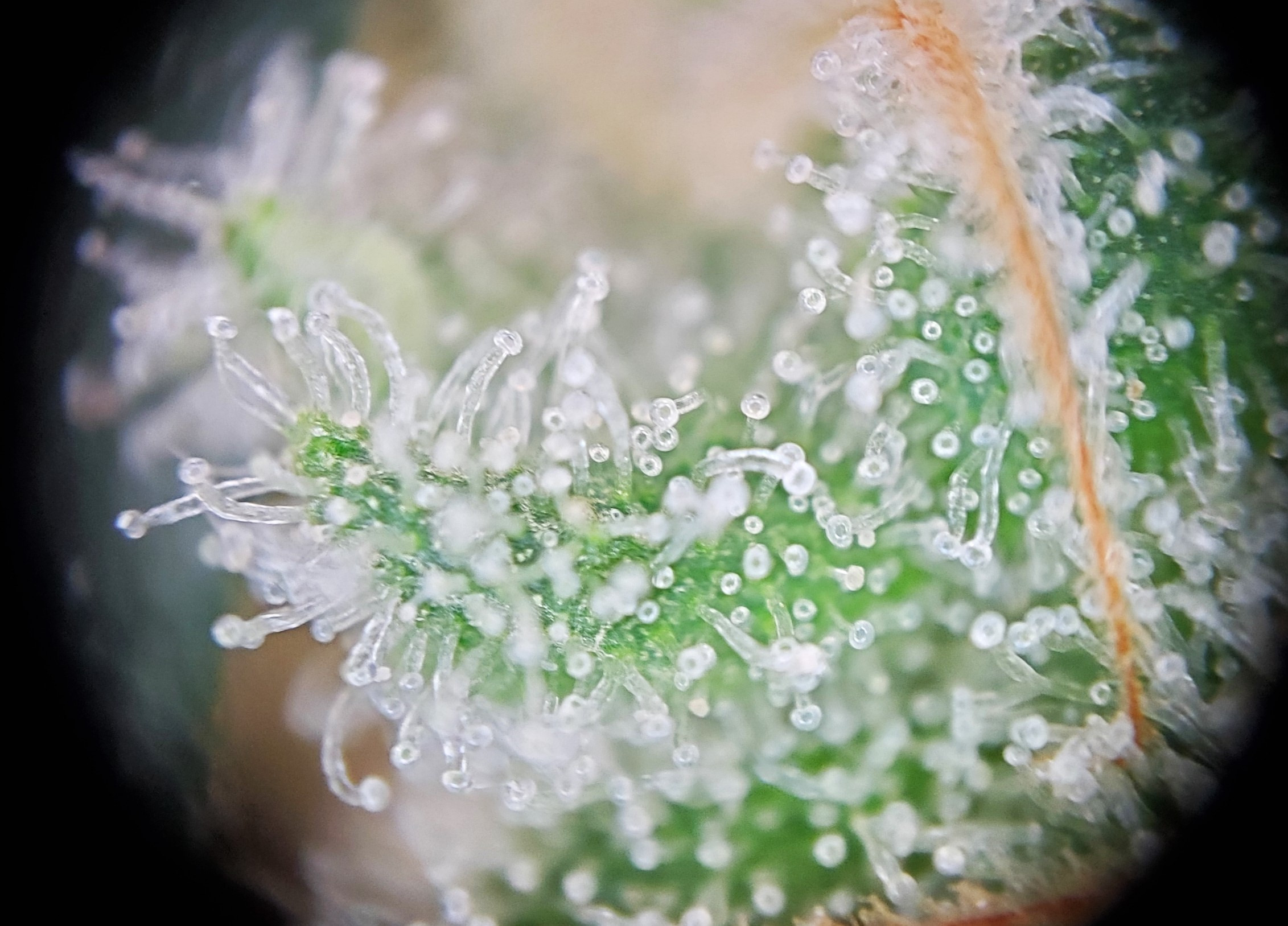 20240807_201358 E.jpg