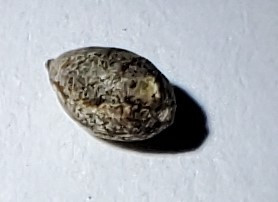 20240914_000130.jpg