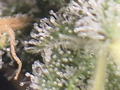 20250814_105223 E1.jpg