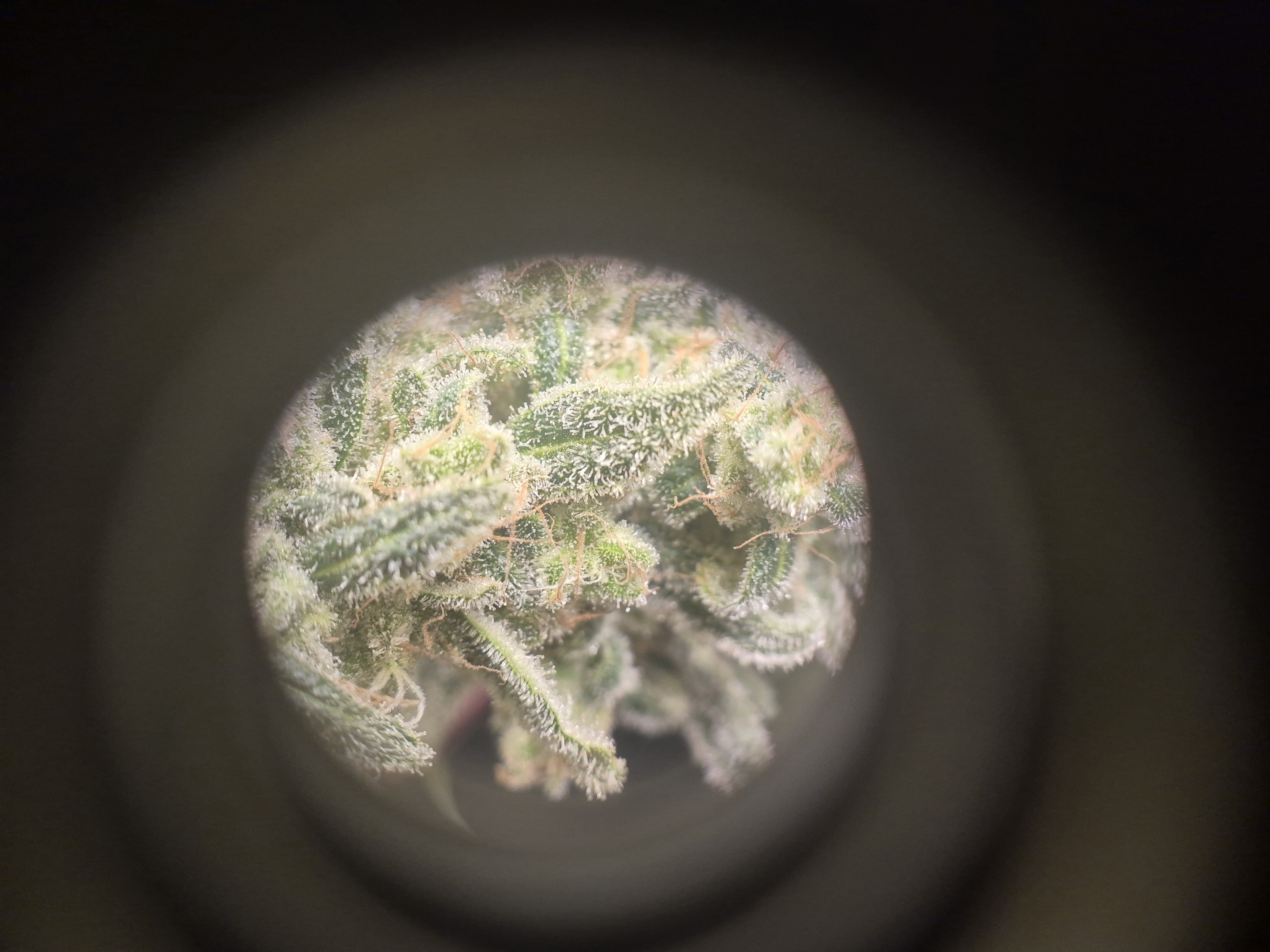 20250912_103955.jpg