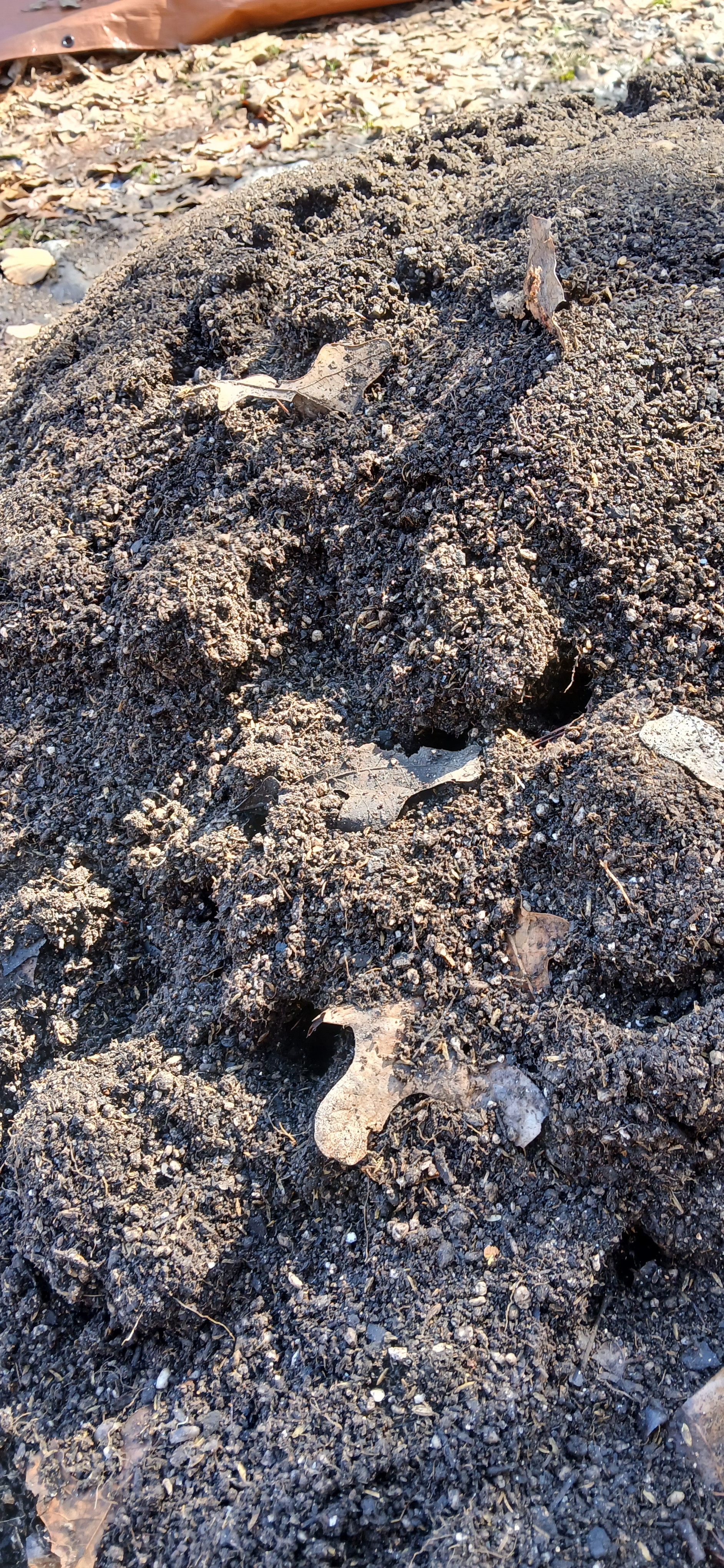 20260227_134317.jpg