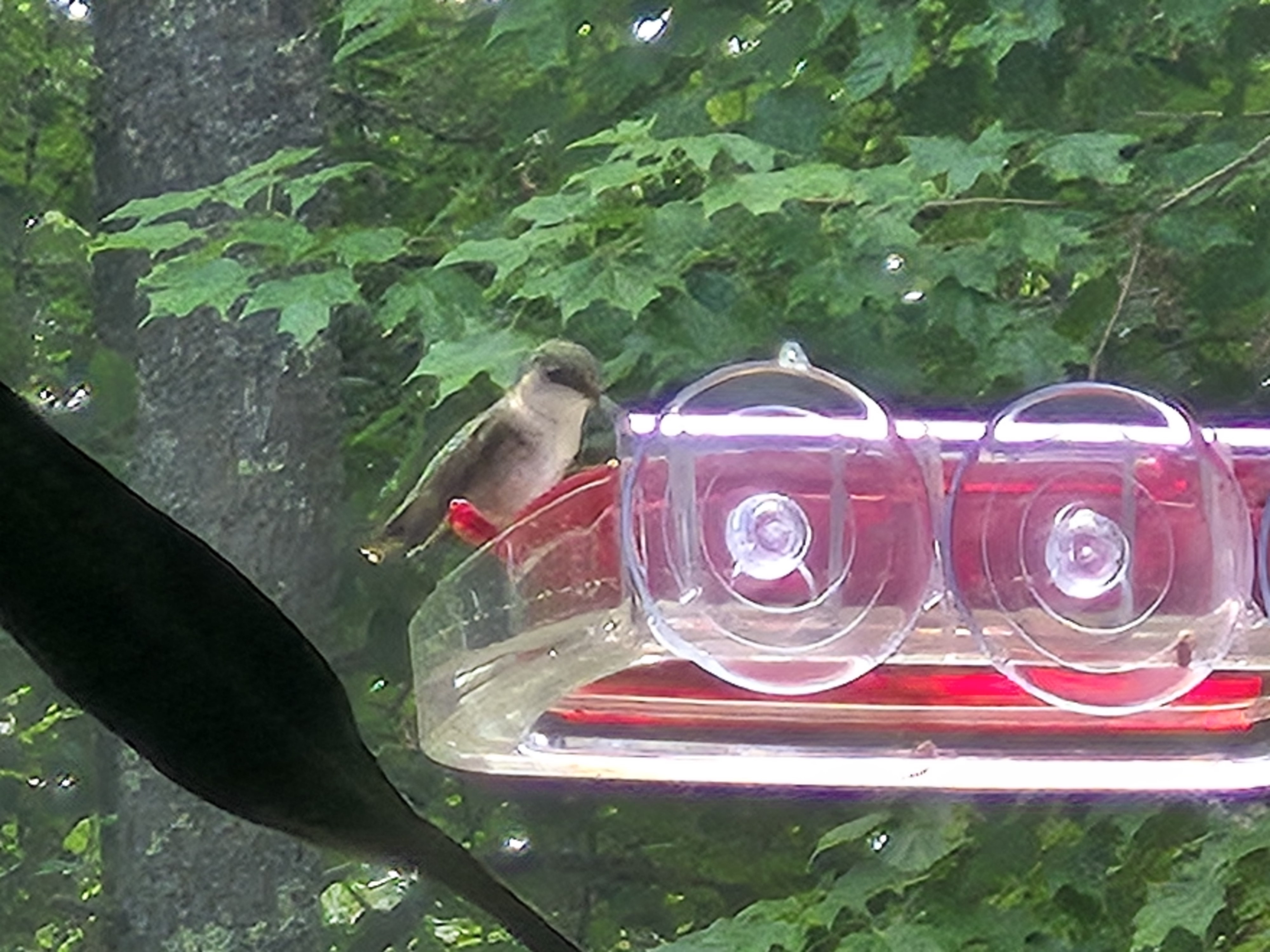 20260621_115139.jpg