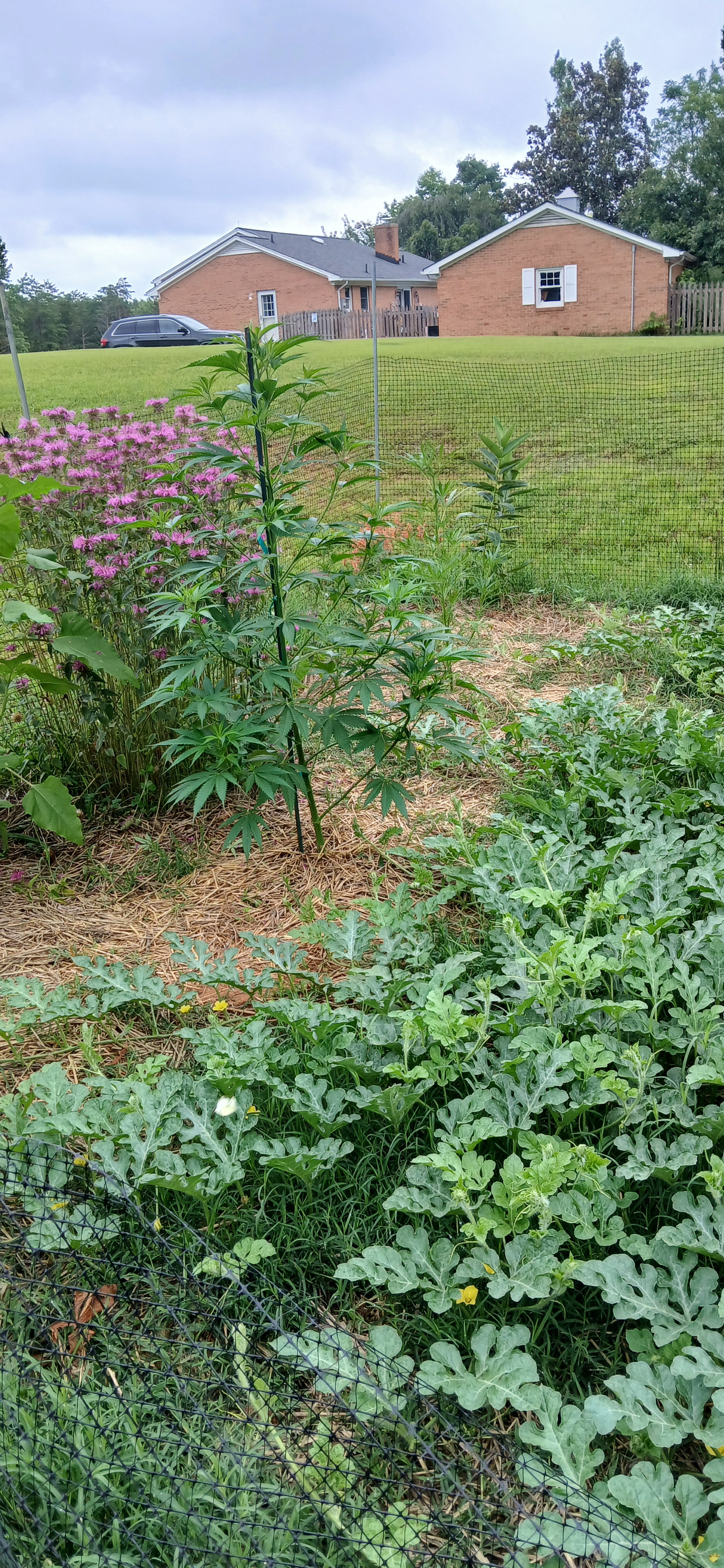 20260628_121418.jpg