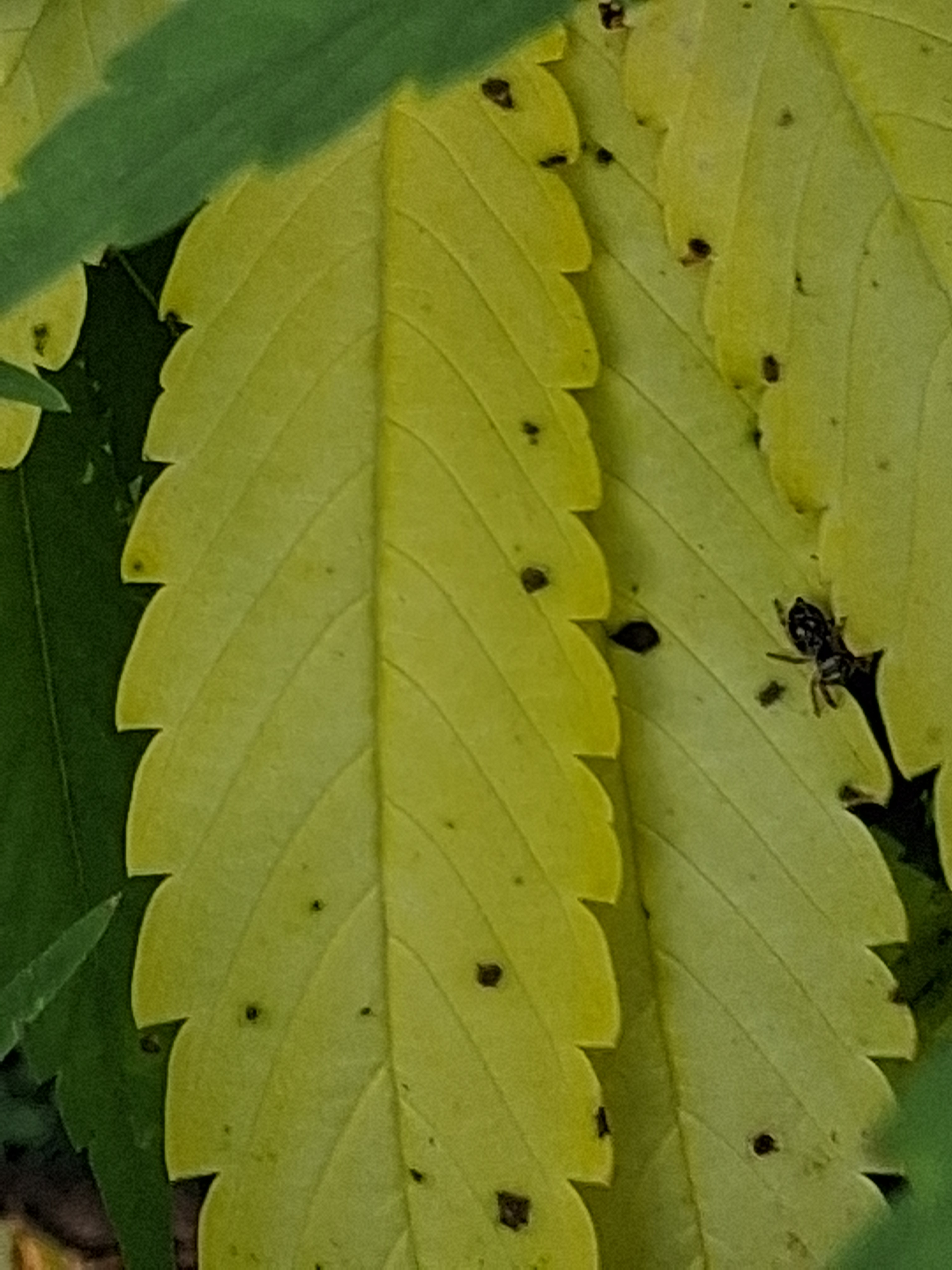 20260714_182113.jpg