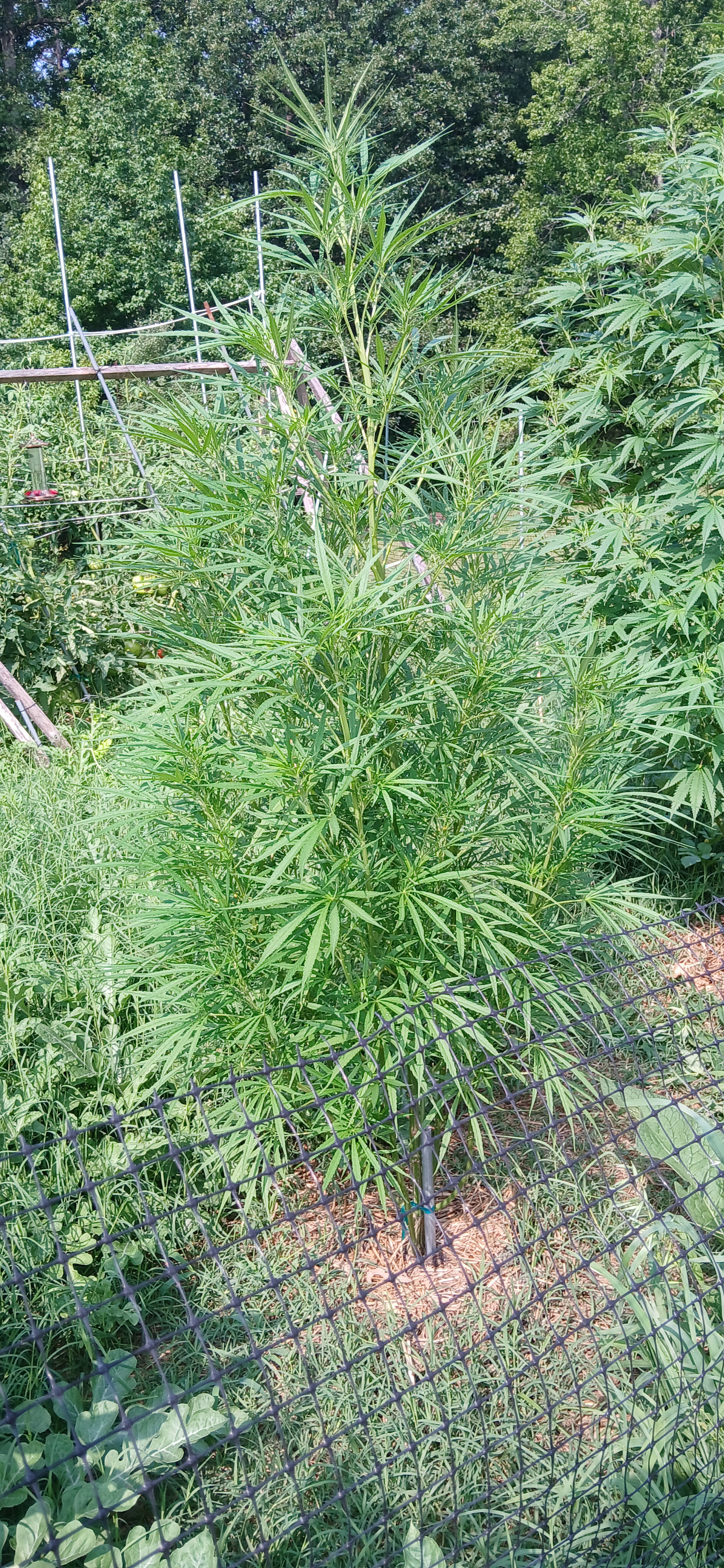 20260720_100941.jpg