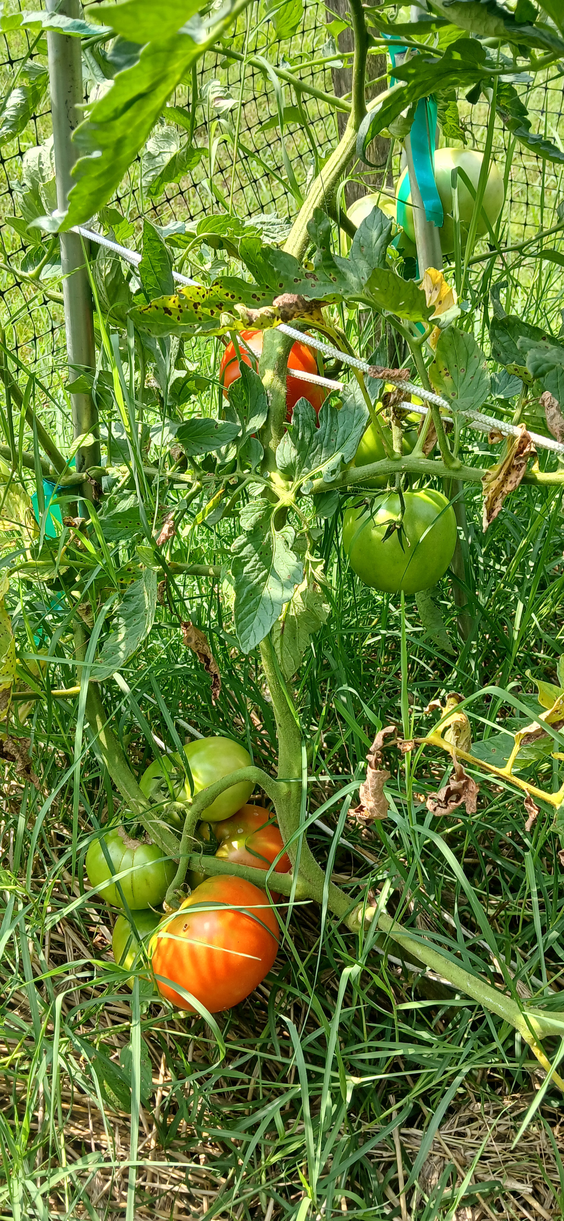 20260720_112923.jpg